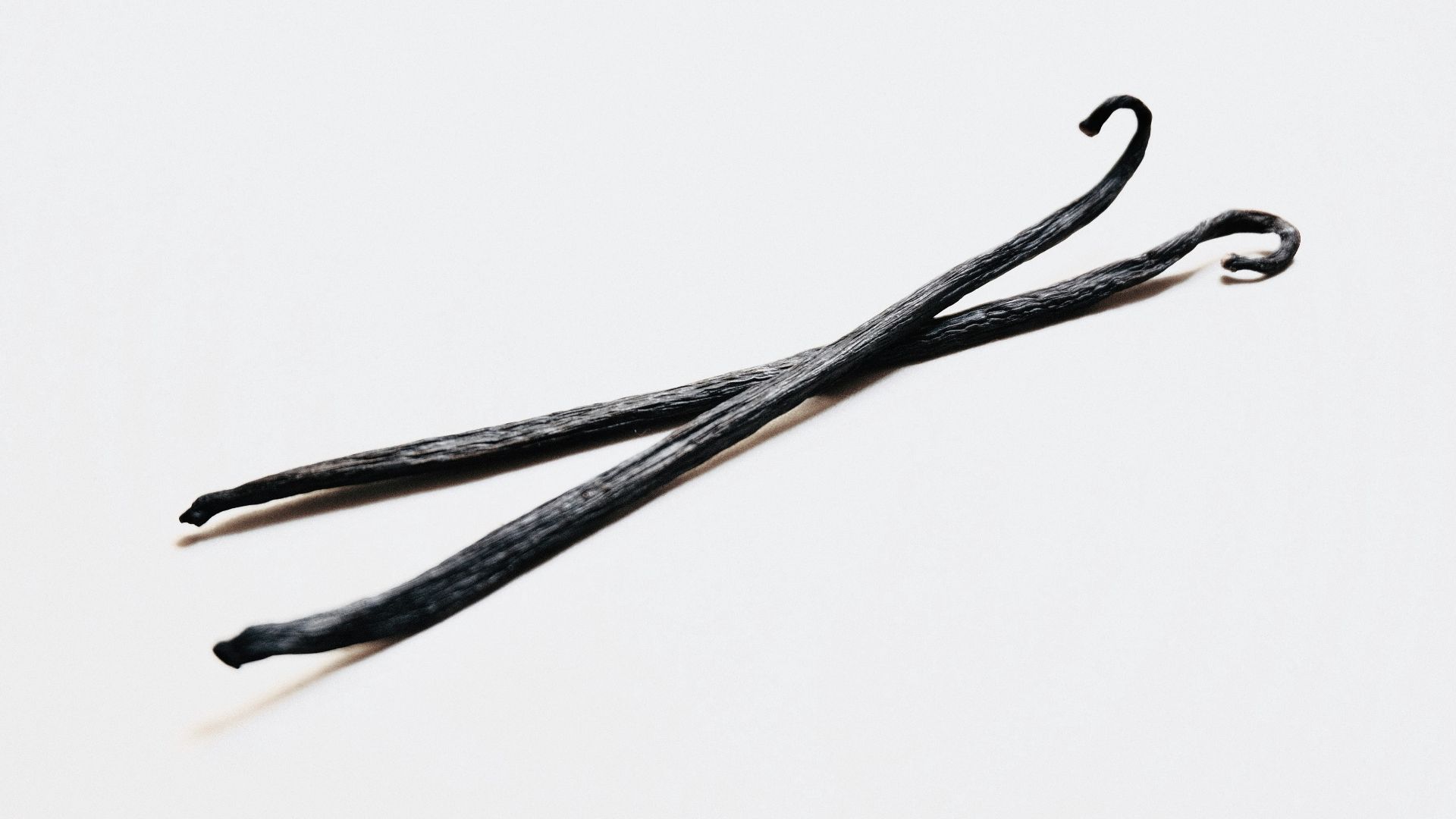 black and white straight line