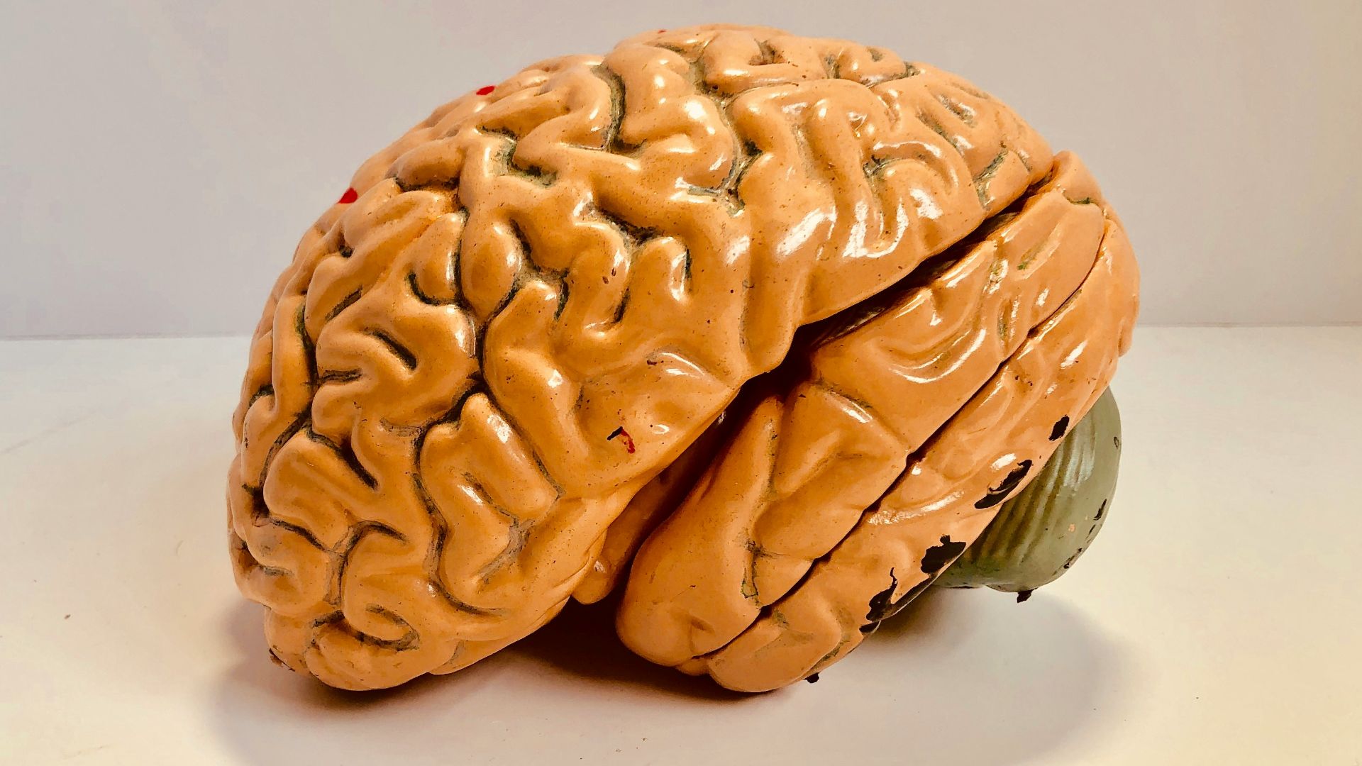 human brain figurine