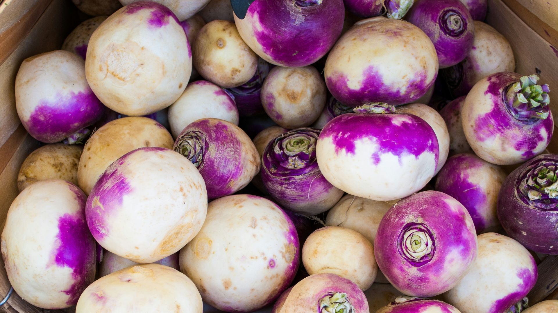 white turnips