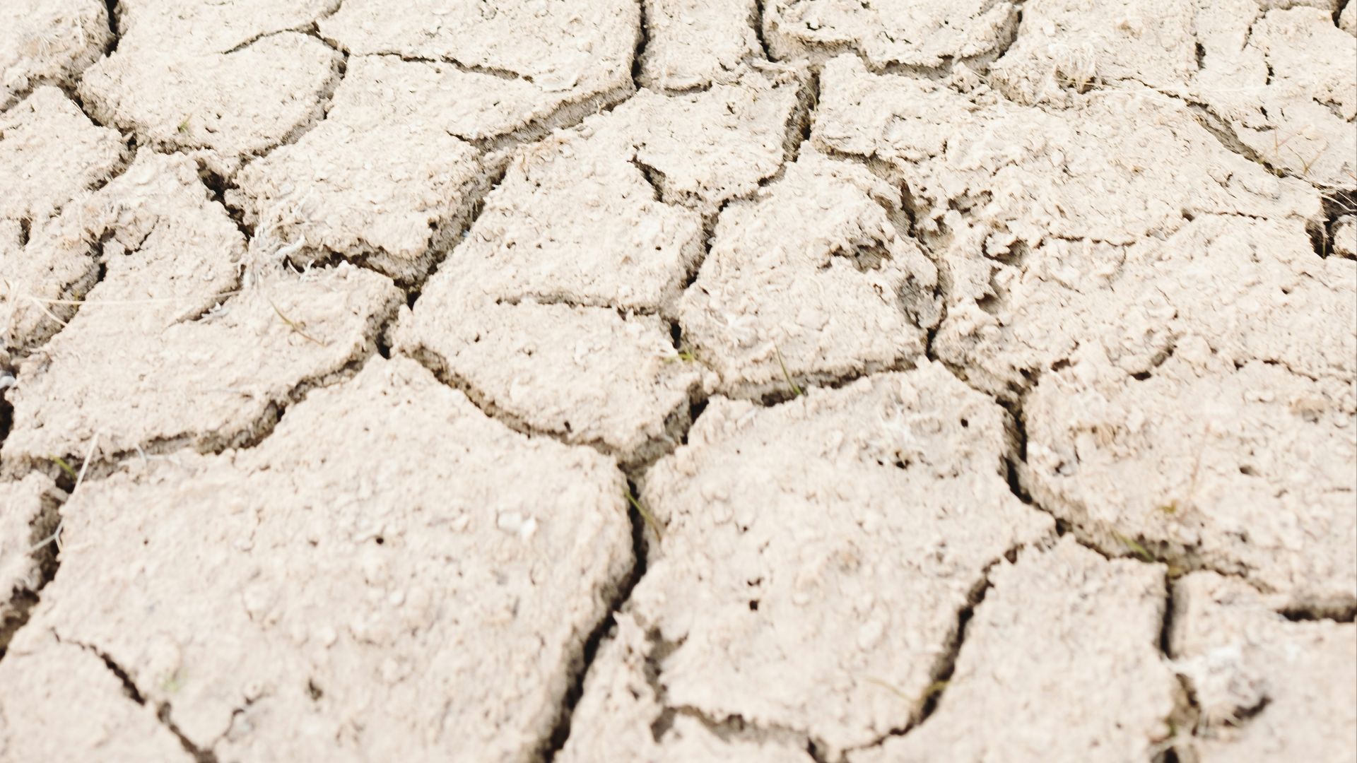 white sand with heart shaped