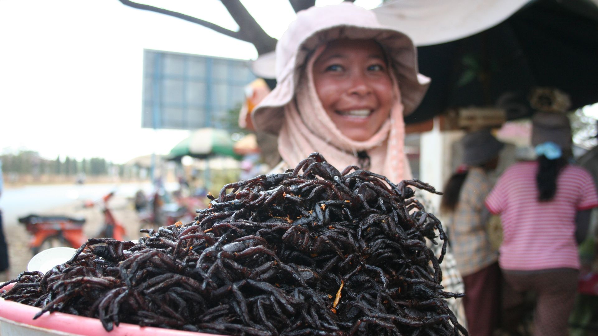 File:Fried spiders Skuon Cambodia.jpg
