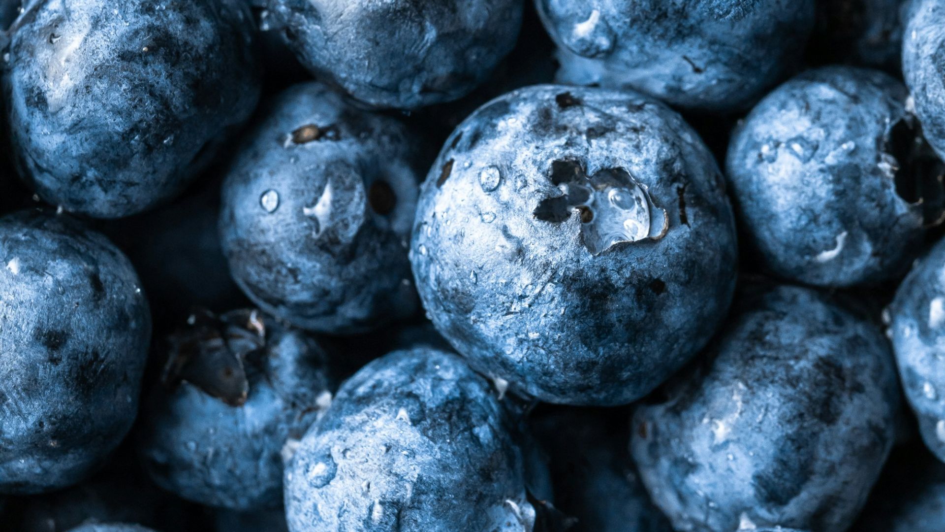 grayscale photography of round fruits
