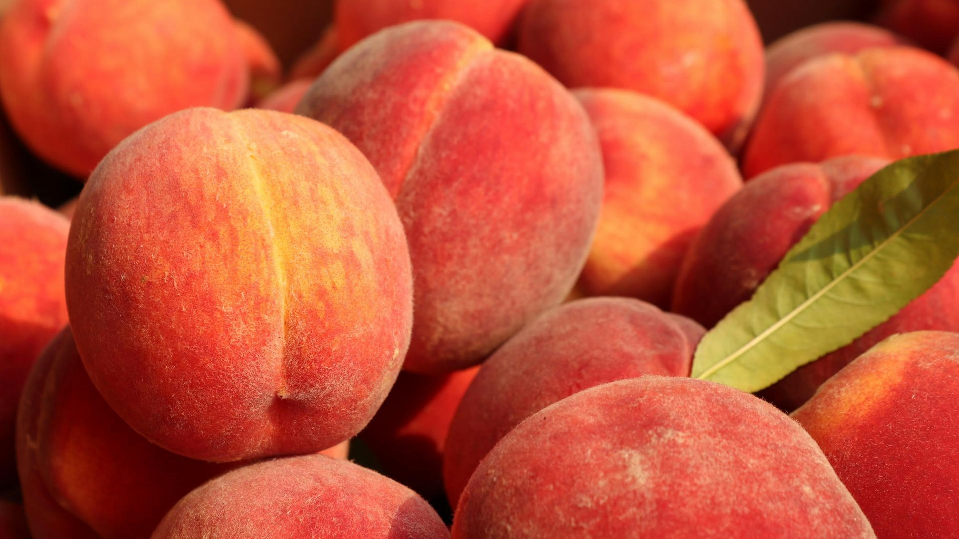 a pile of peaches with a leaf on top