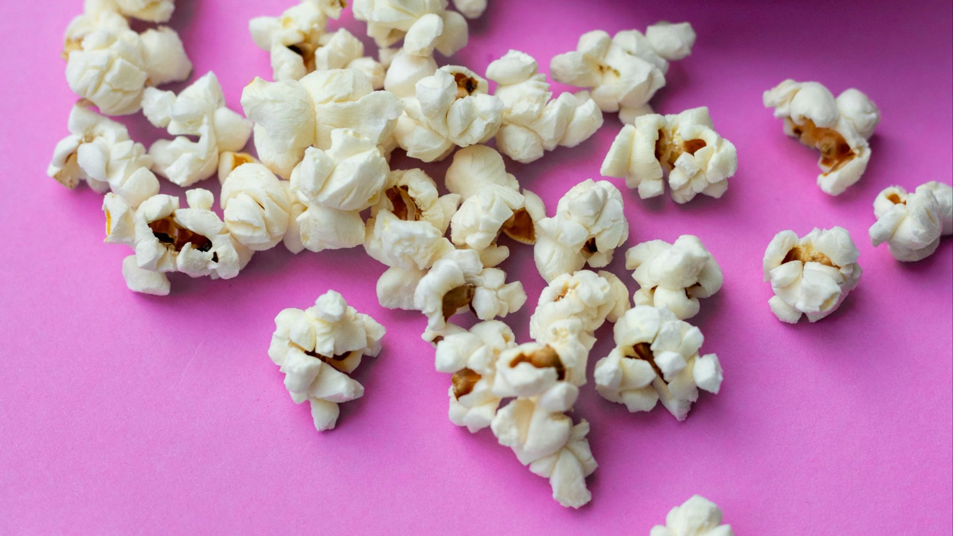 white and pink flower petals on pink surface