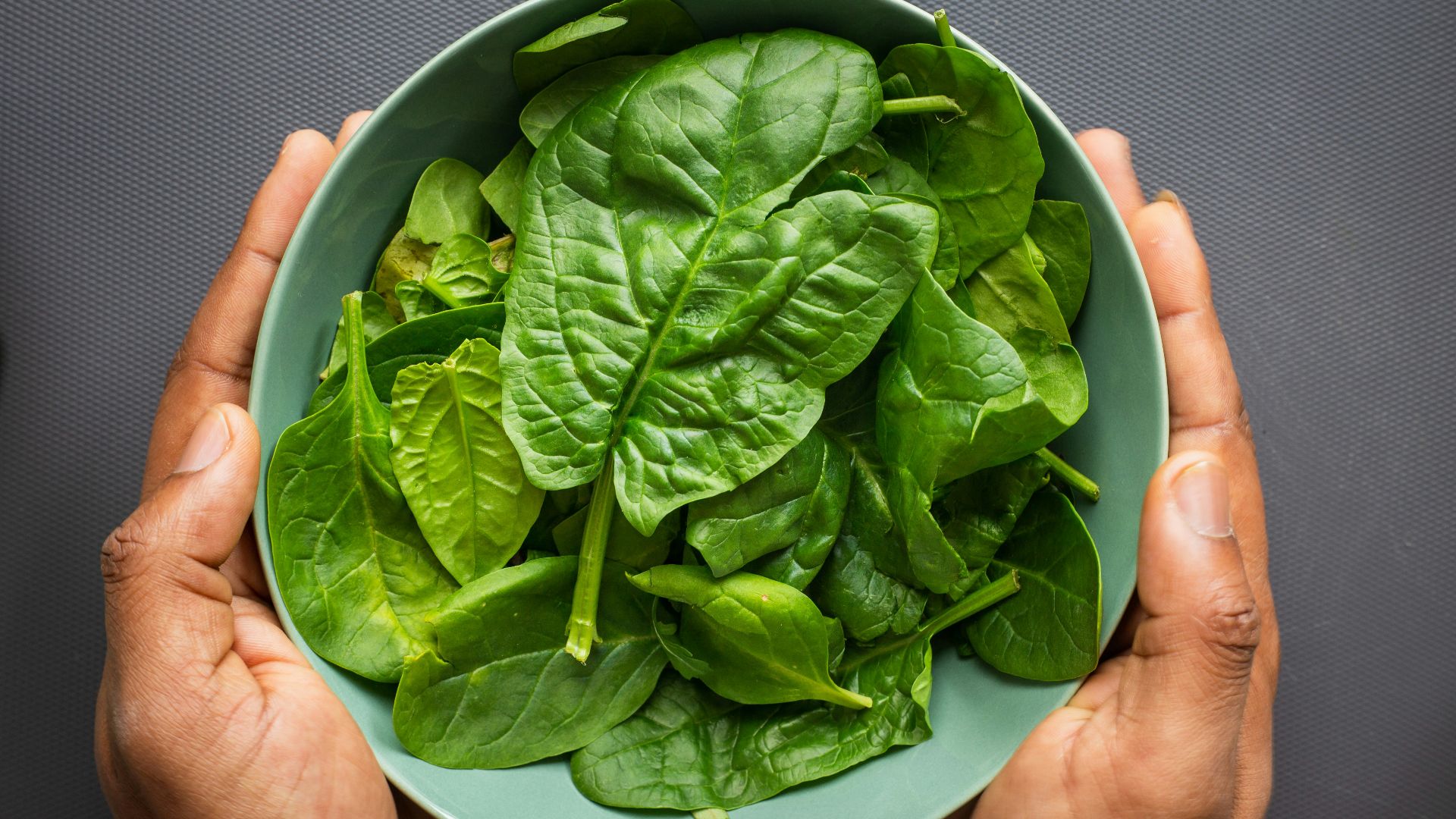 green leaves on blue plastic bowl