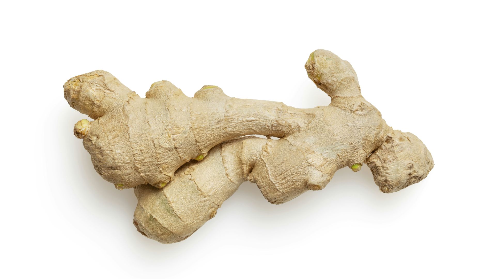 white and brown stone on white surface