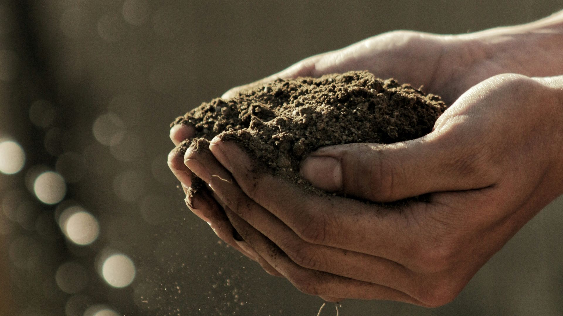 bokeh photography of person carrying soil