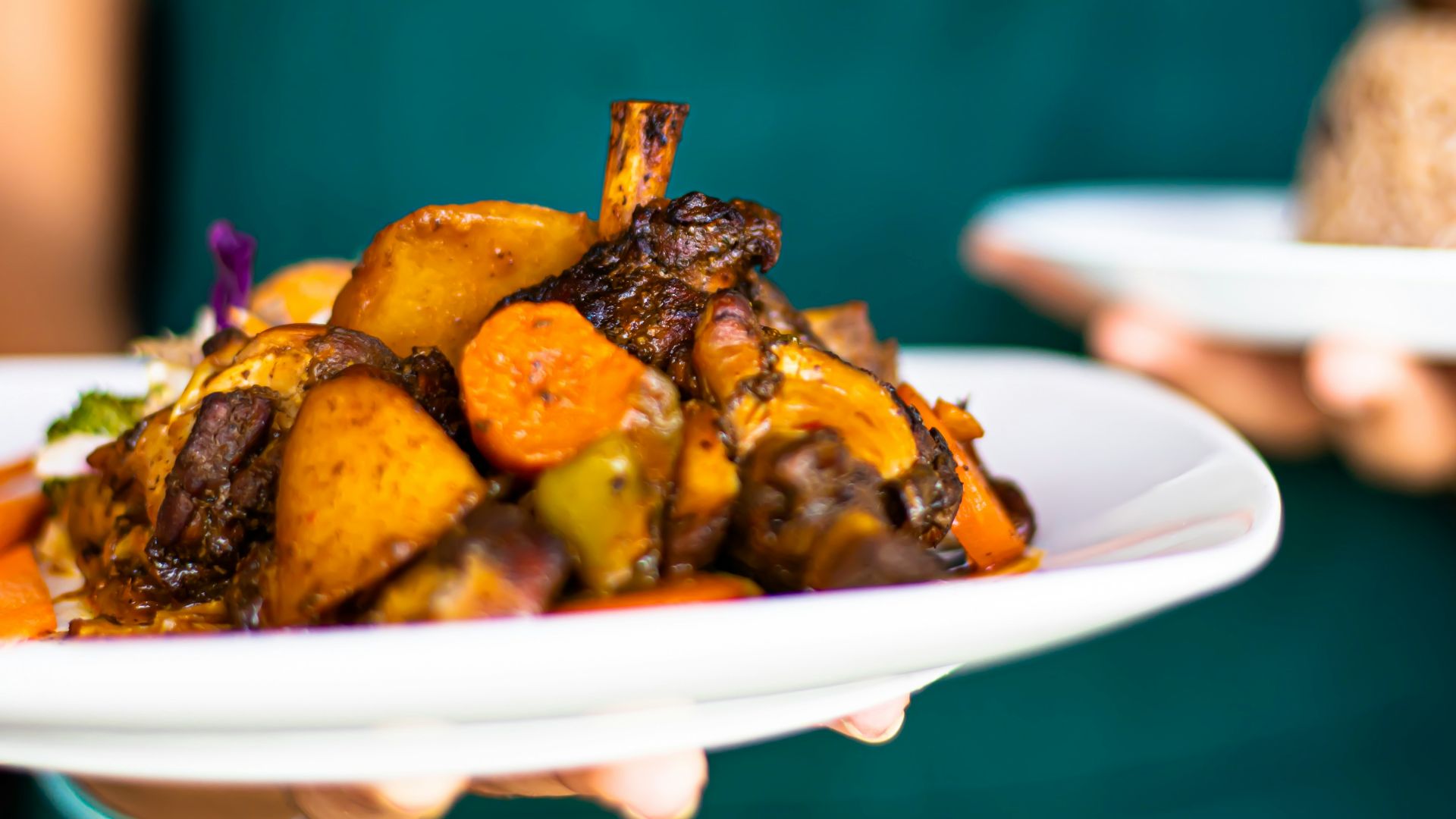 person holding white ceramic plate with chicken dish
