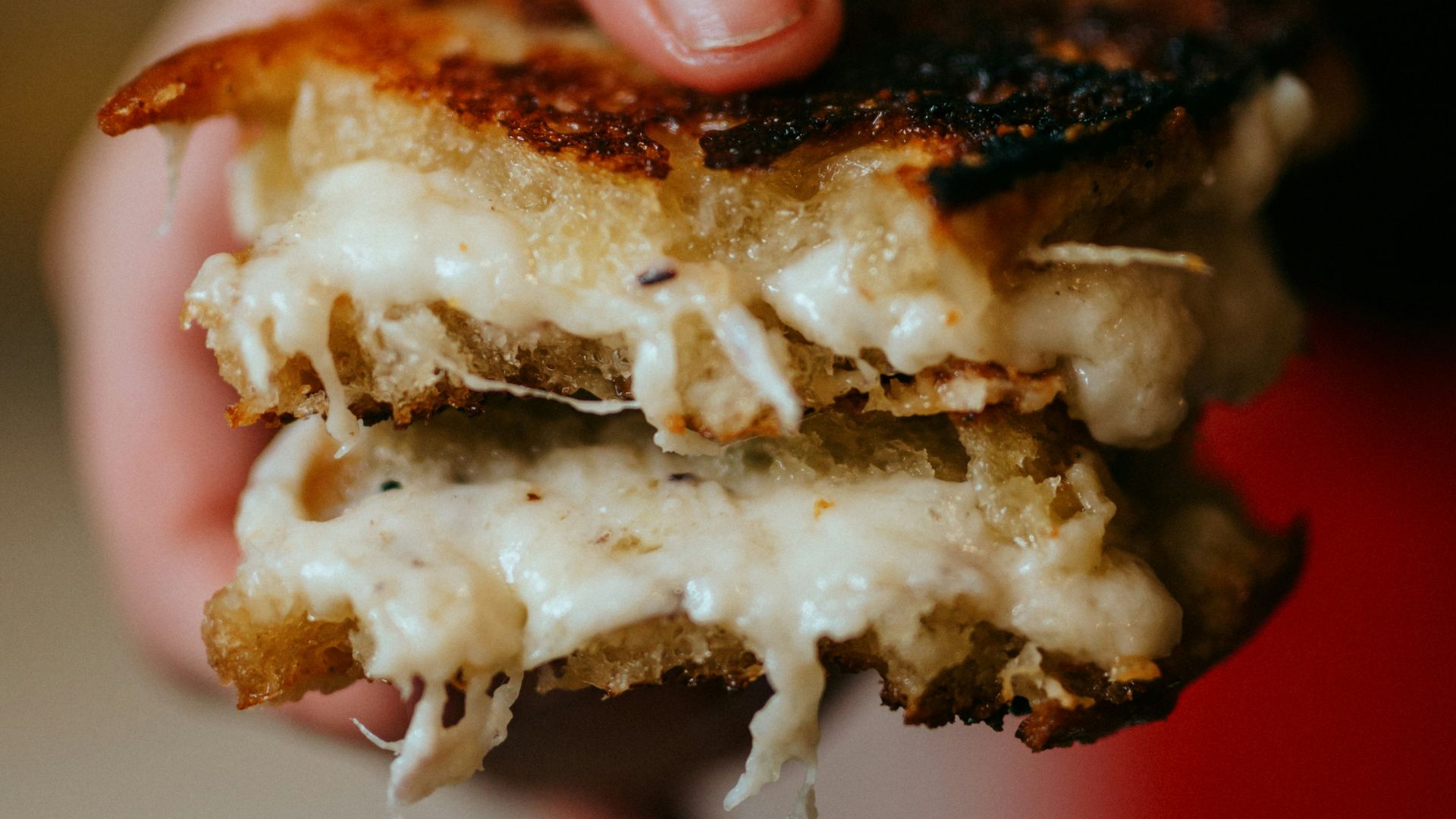 person holding brown and white bread