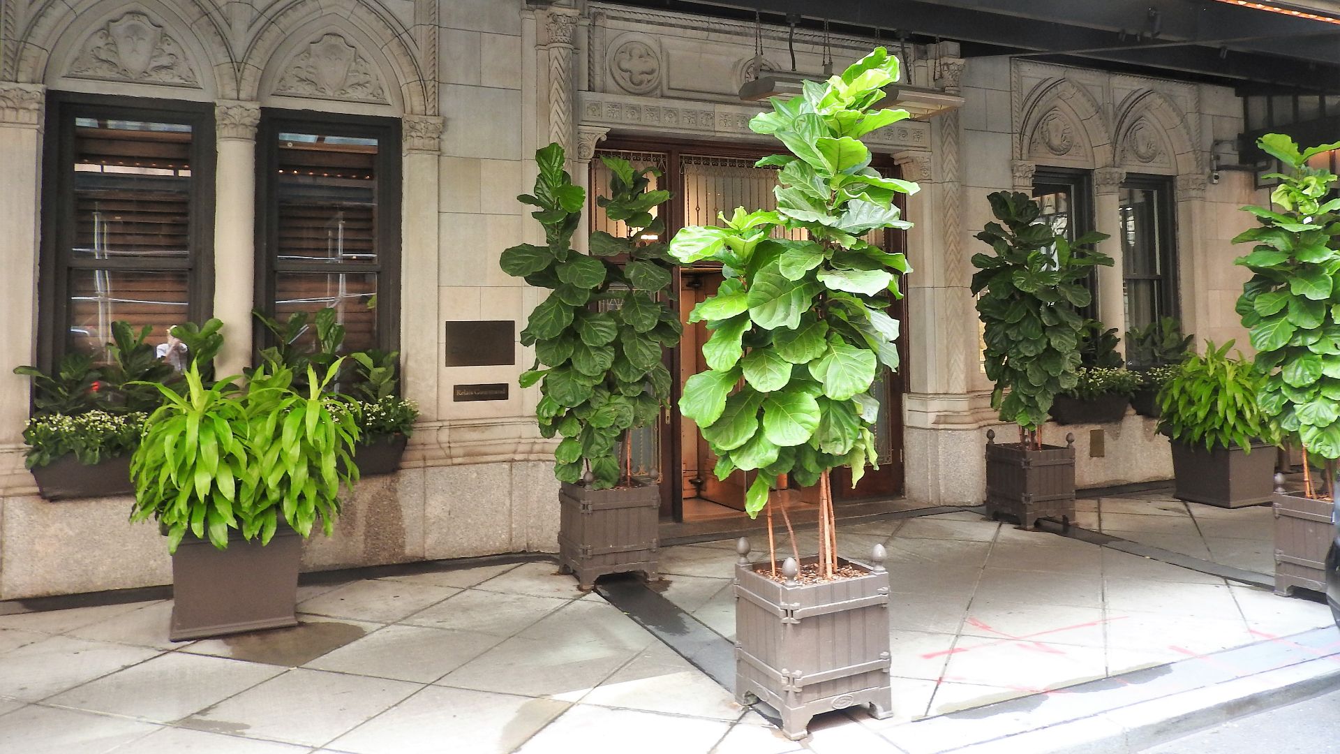 File:Daniel restaurant 60 E65 jeh.jpg