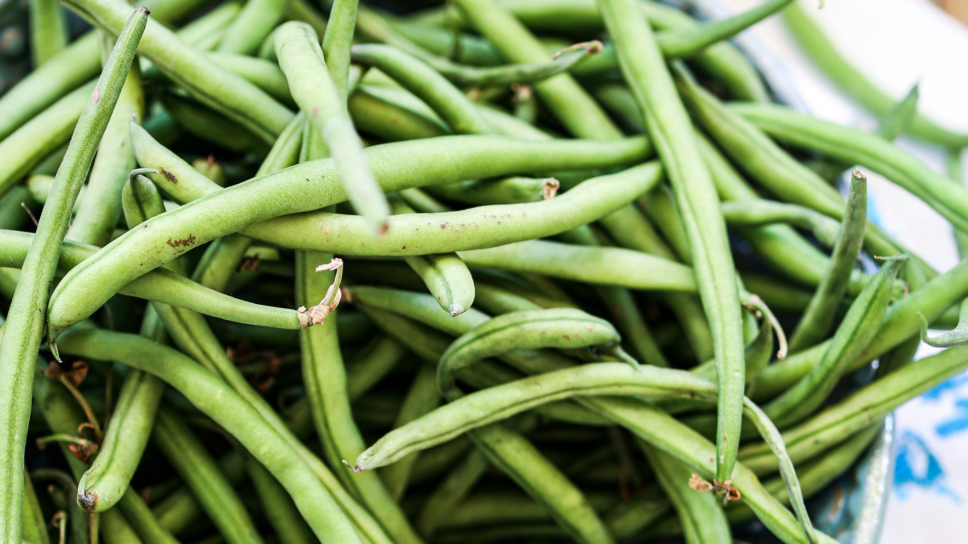 a bowl of green beans