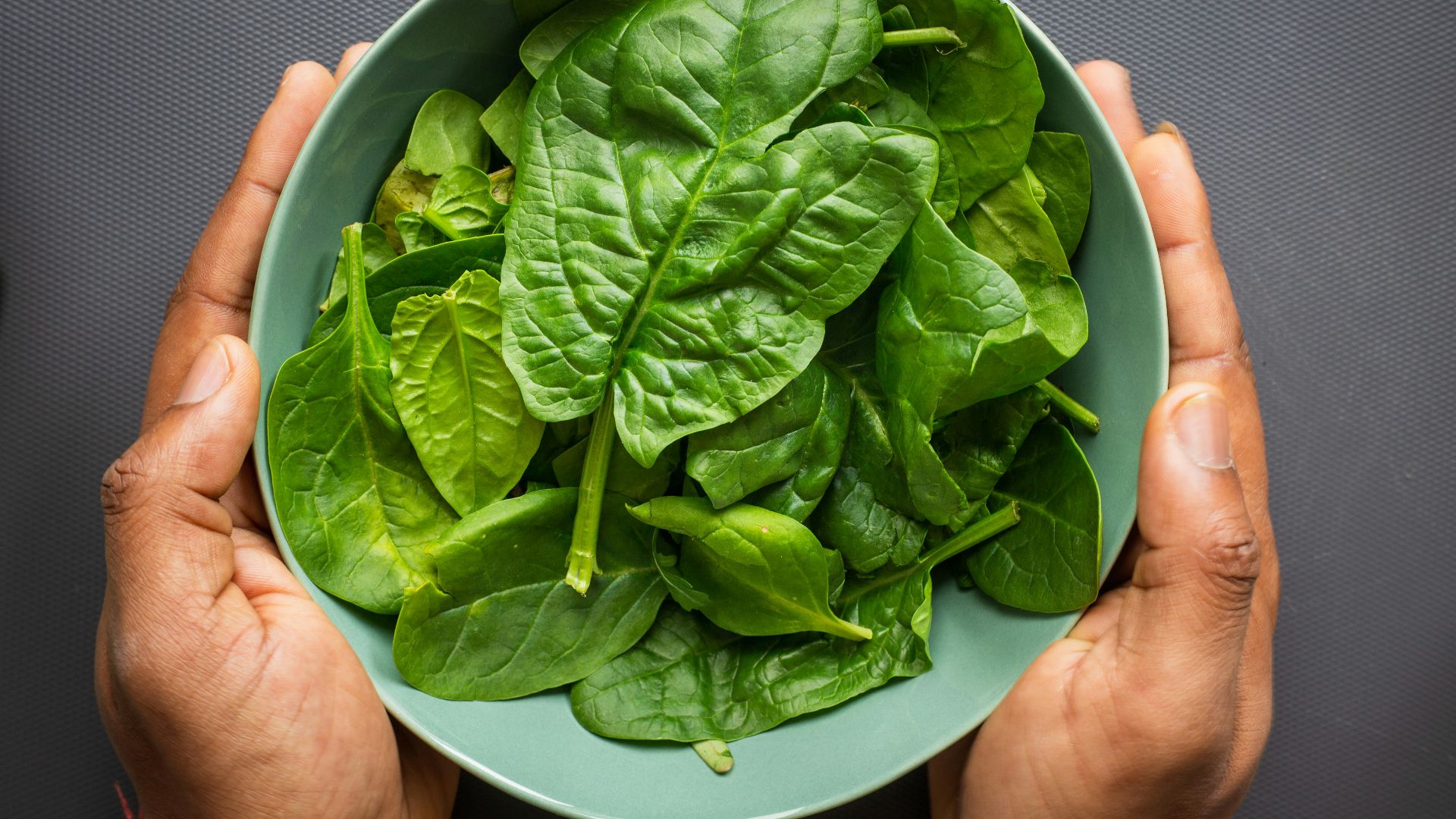 green leaves on blue plastic bowl