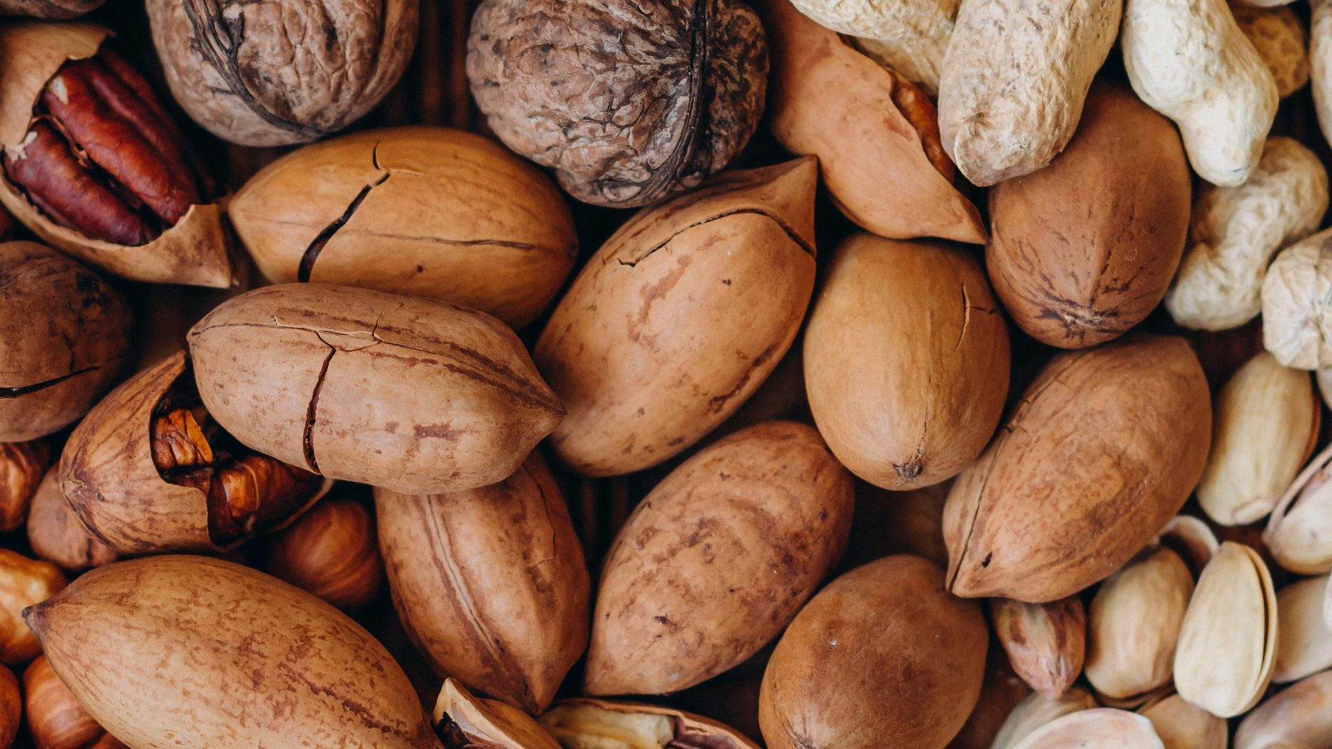 brown and beige nut lot