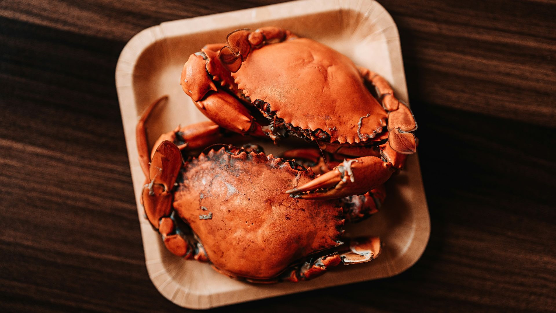 a close up of a plate of crab on a table
