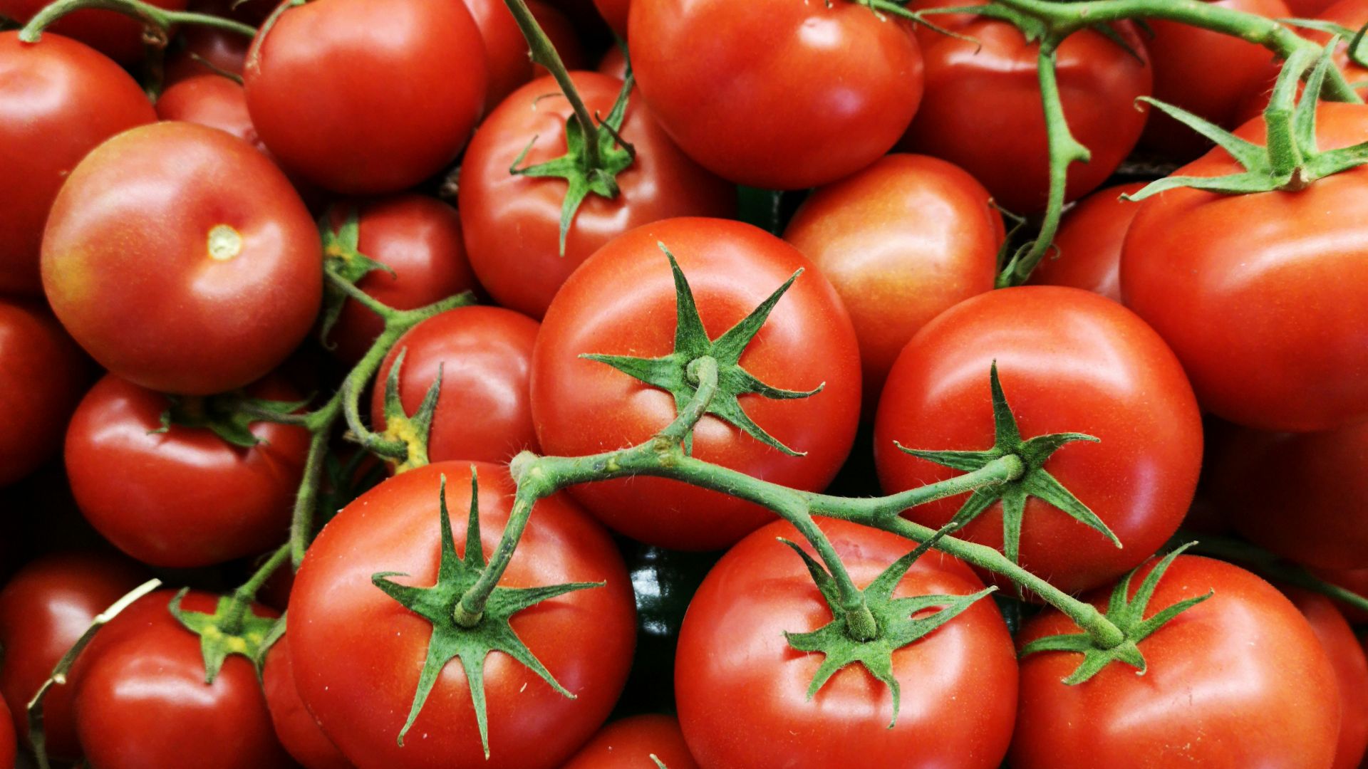 red tomatoes on brown wooden table