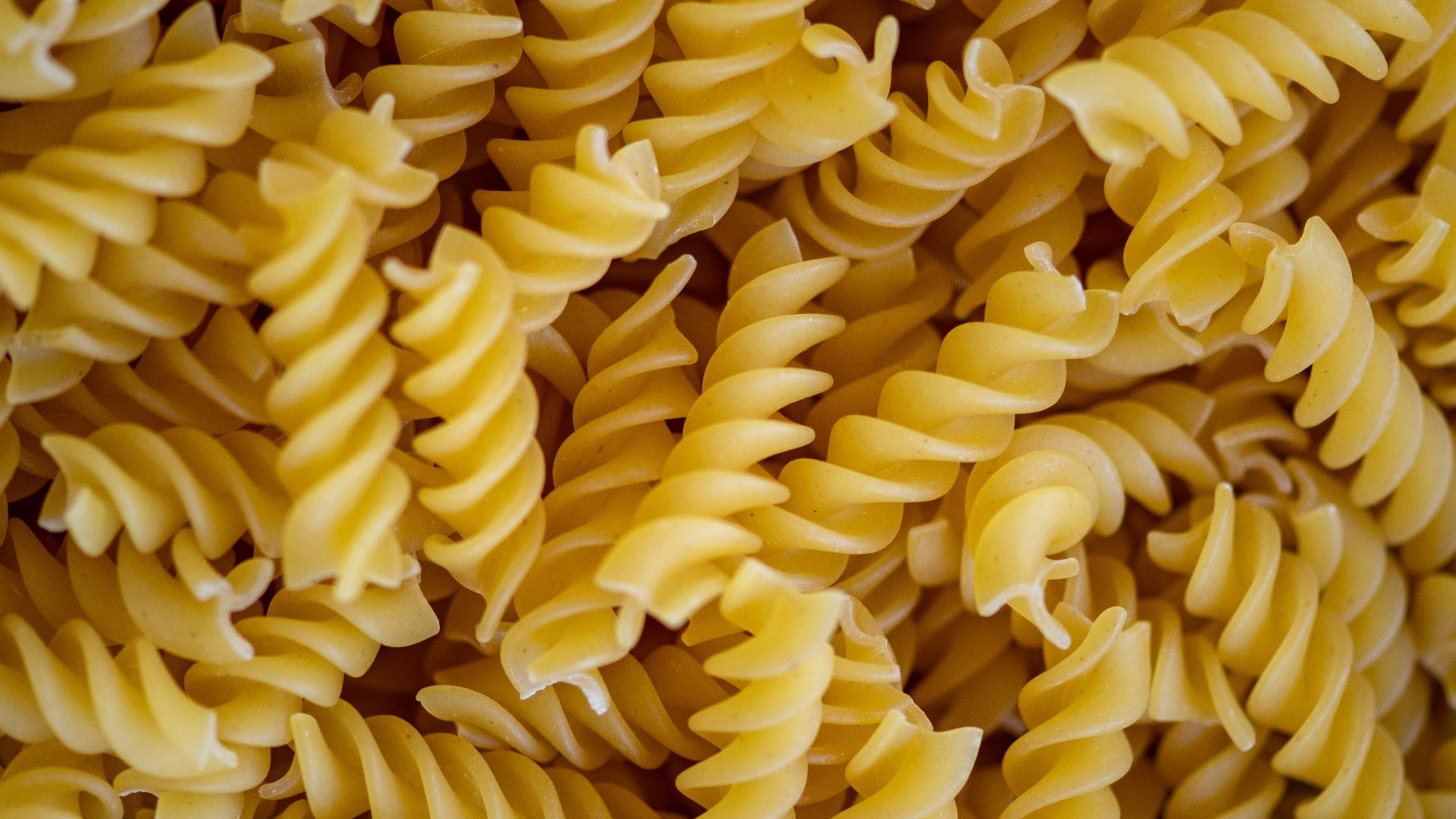 yellow flower petals in close up photography
