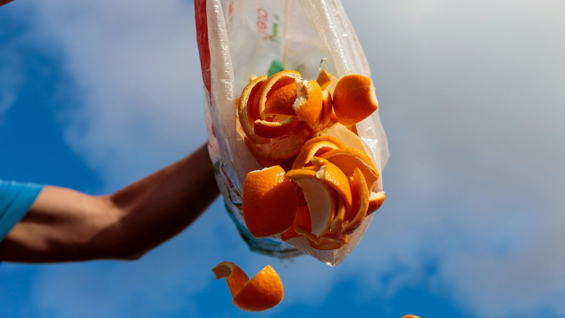 a person holding a bag full of orange peels