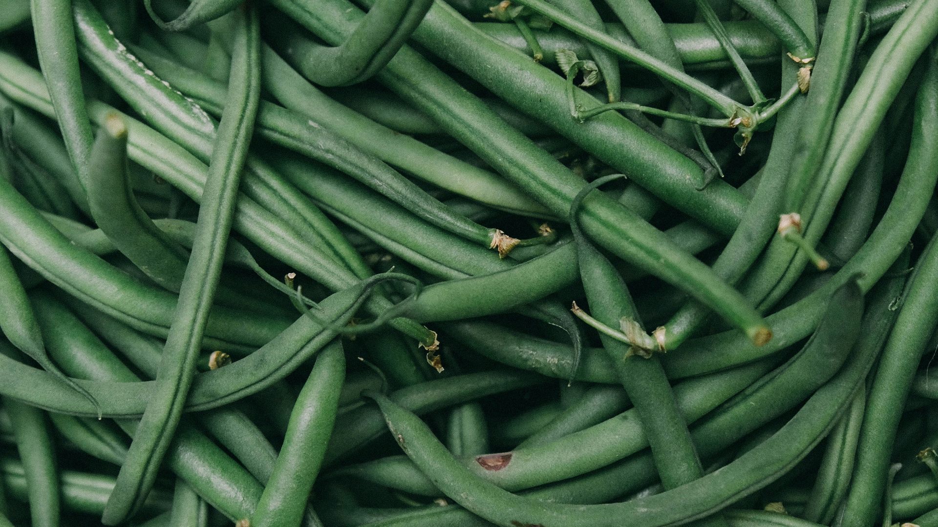 green string beans photo