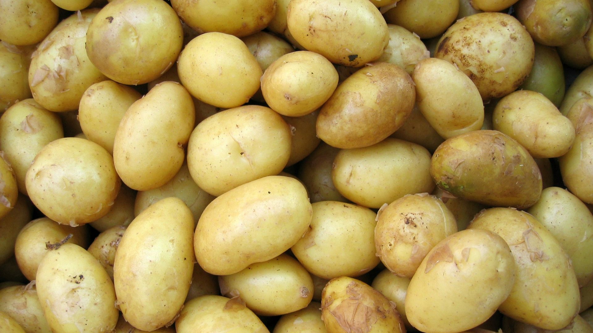 potatoes