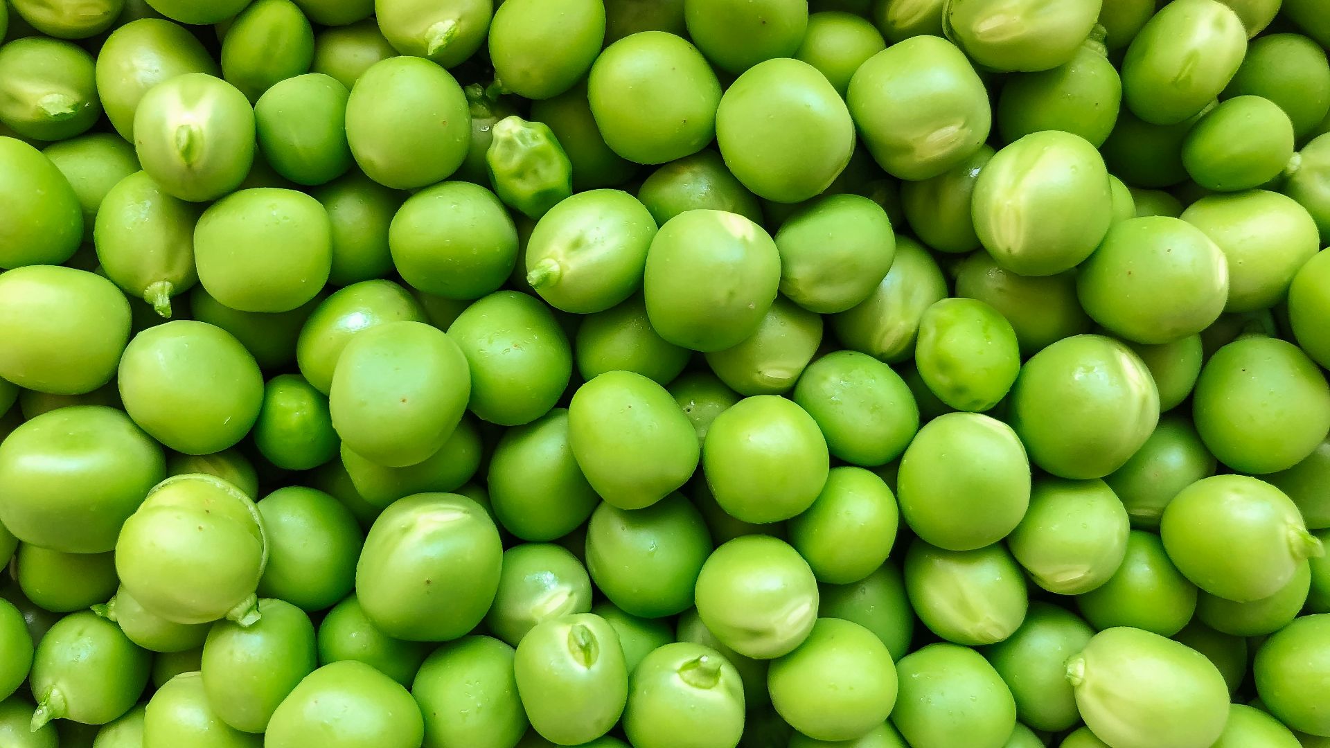 green round fruits in close up photography