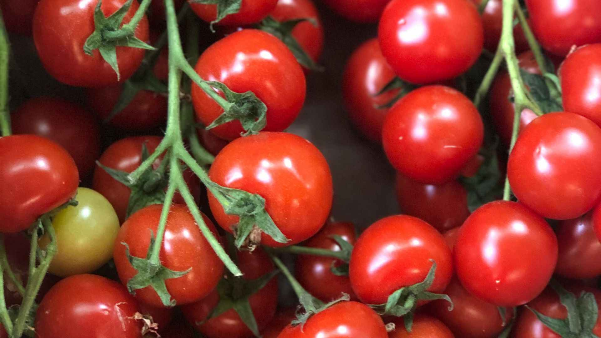 red cherry fruit on brown stick