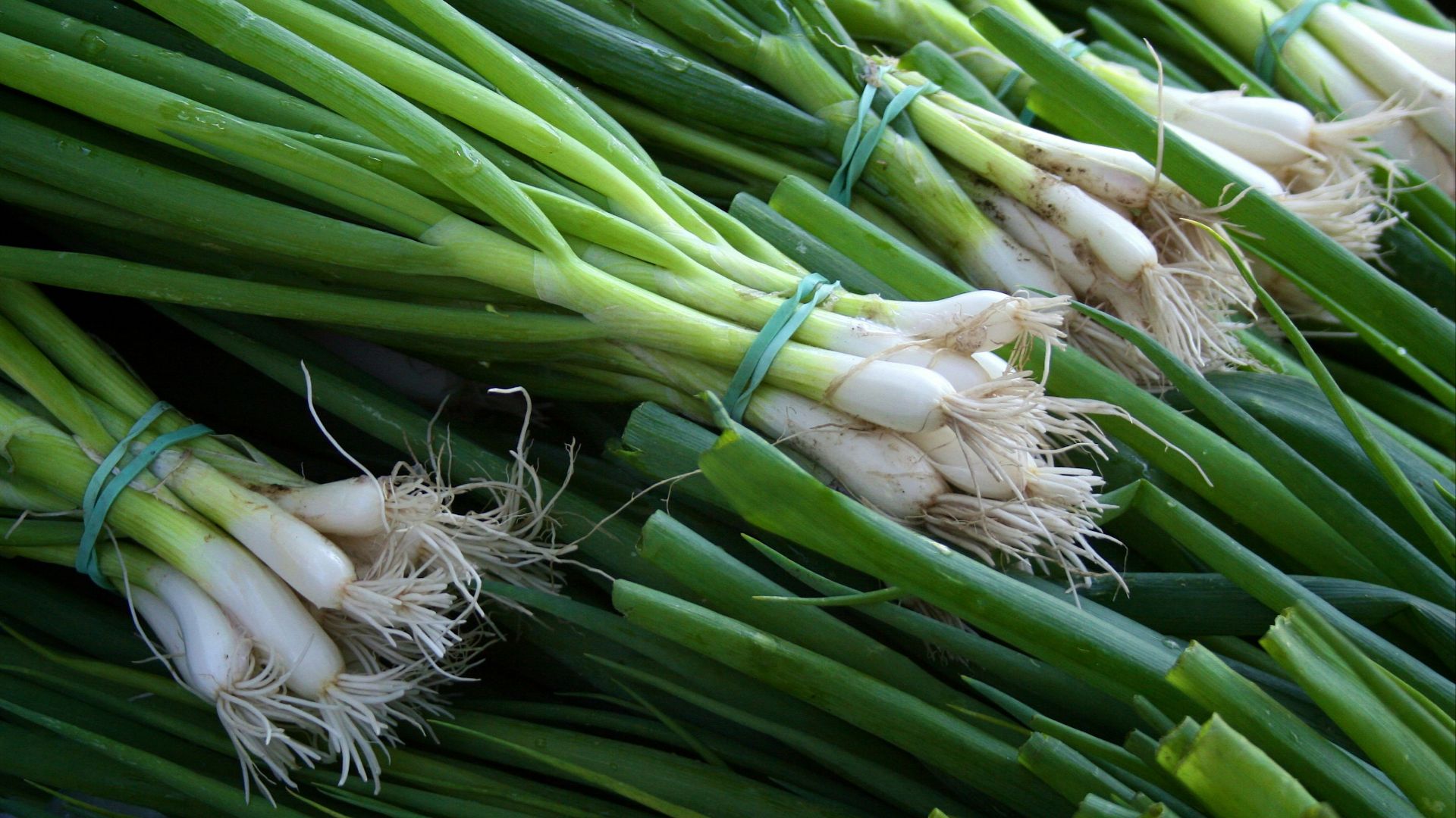 green and white vegetable on brown wooden table
