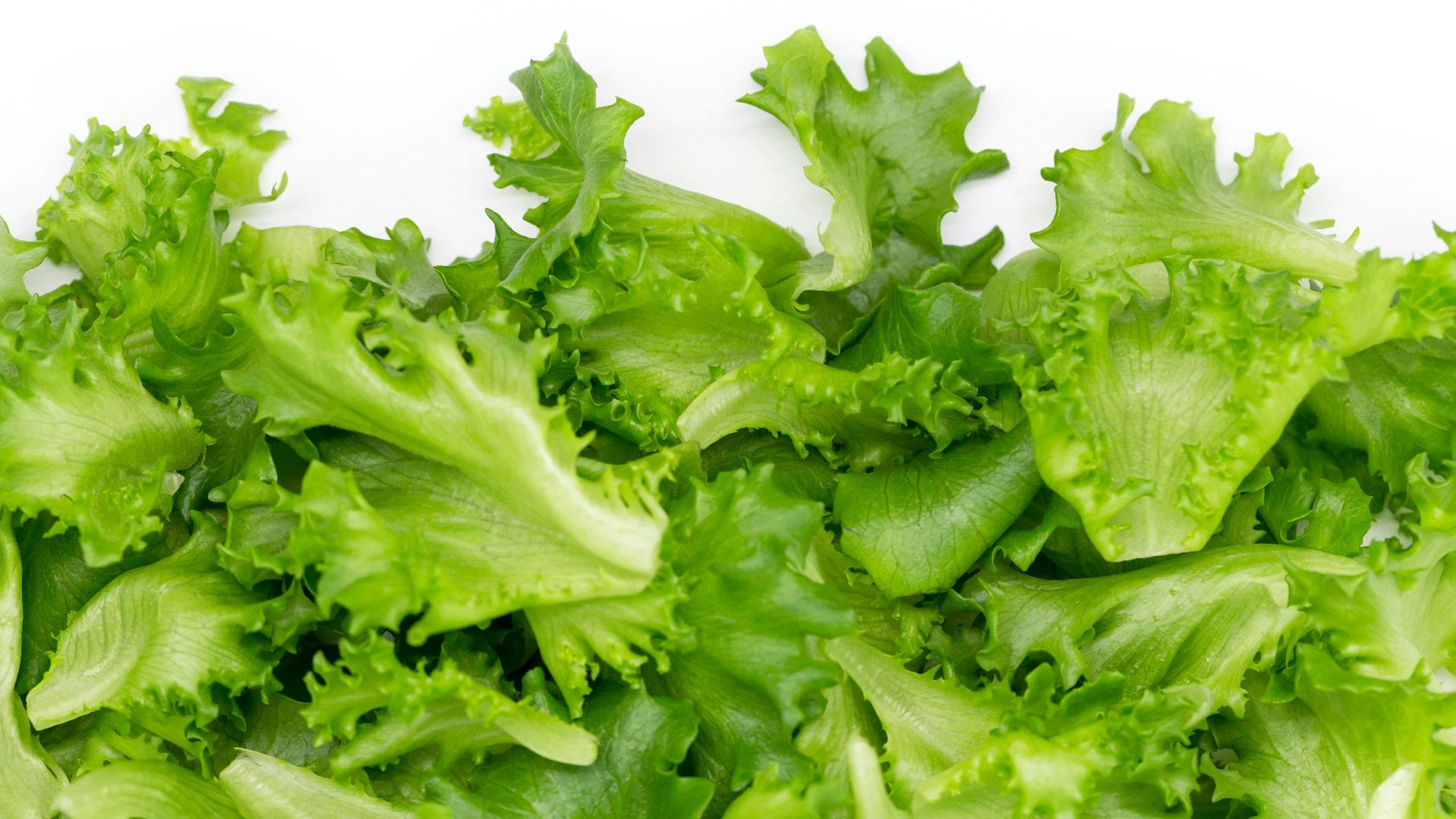 green vegetable on white background