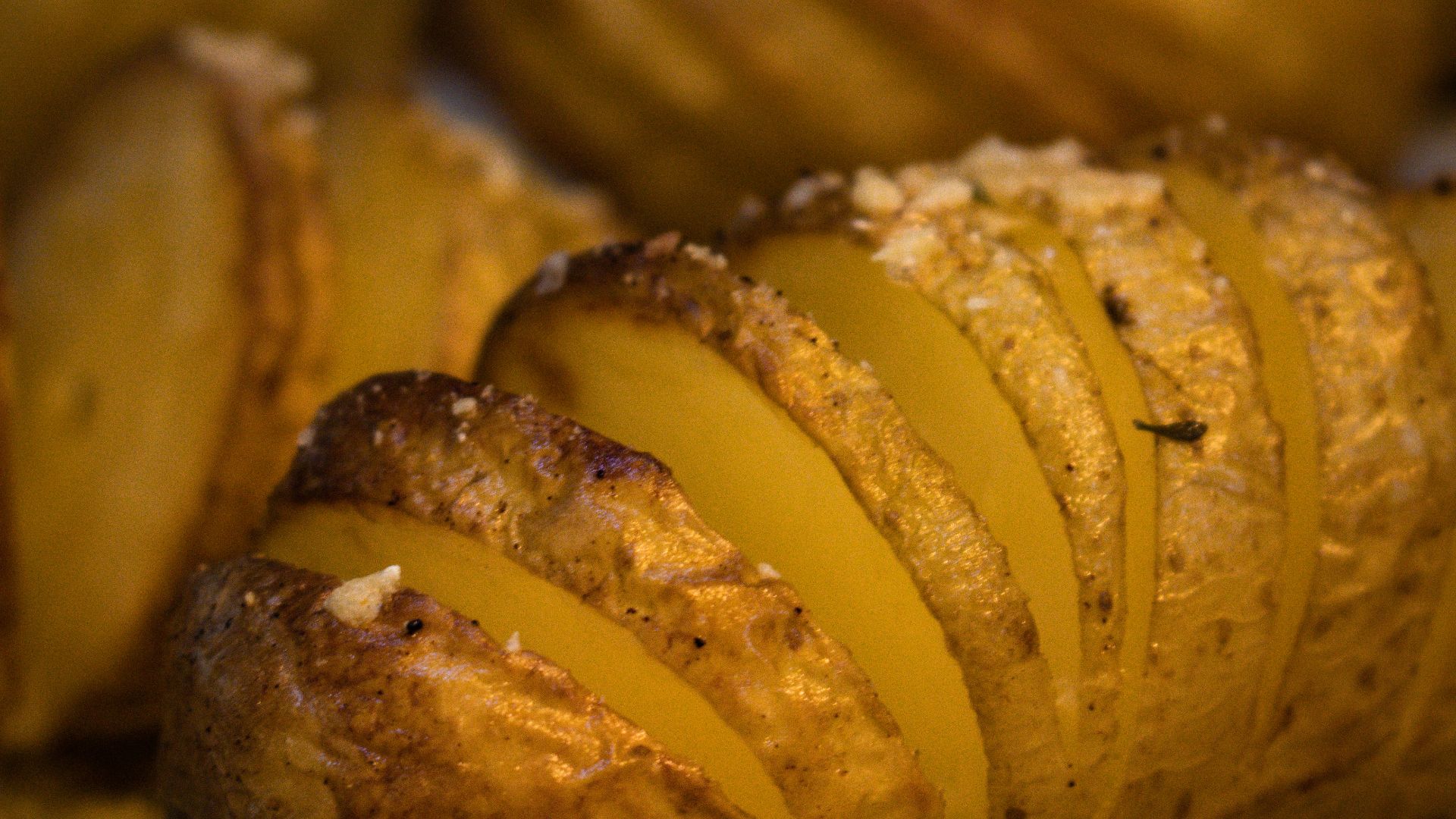 a close up of some food on a tray