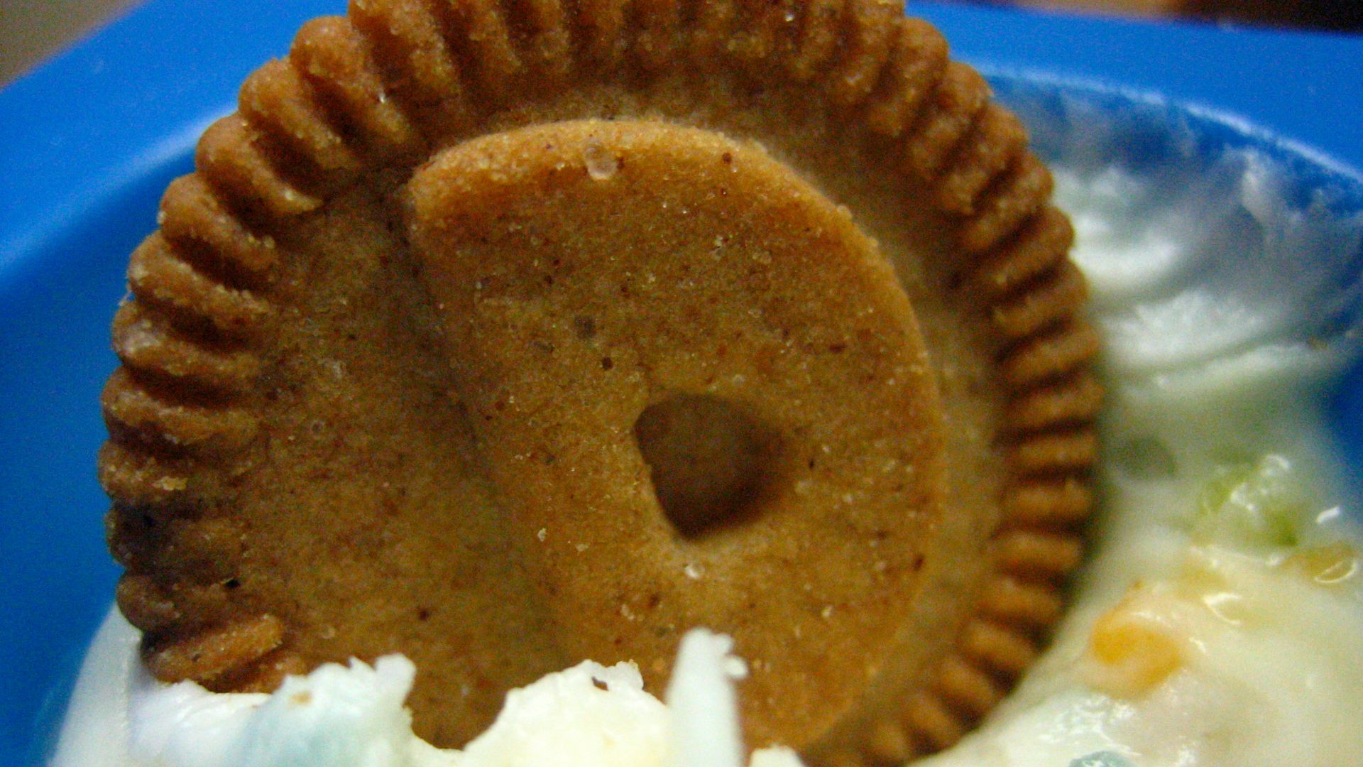 File:32. DUNKAROOS! (3626901761).jpg