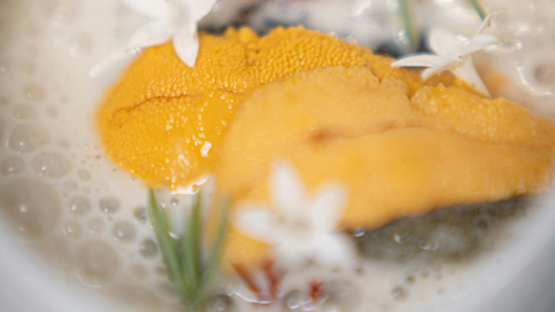 Gourmet seafood dish with uni and edible flowers.