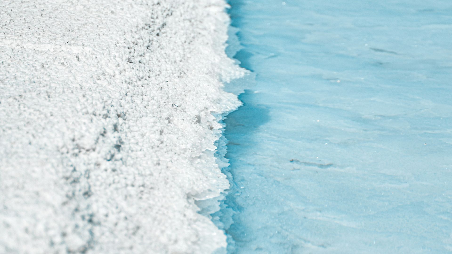 a bird standing on the edge of a pool of water