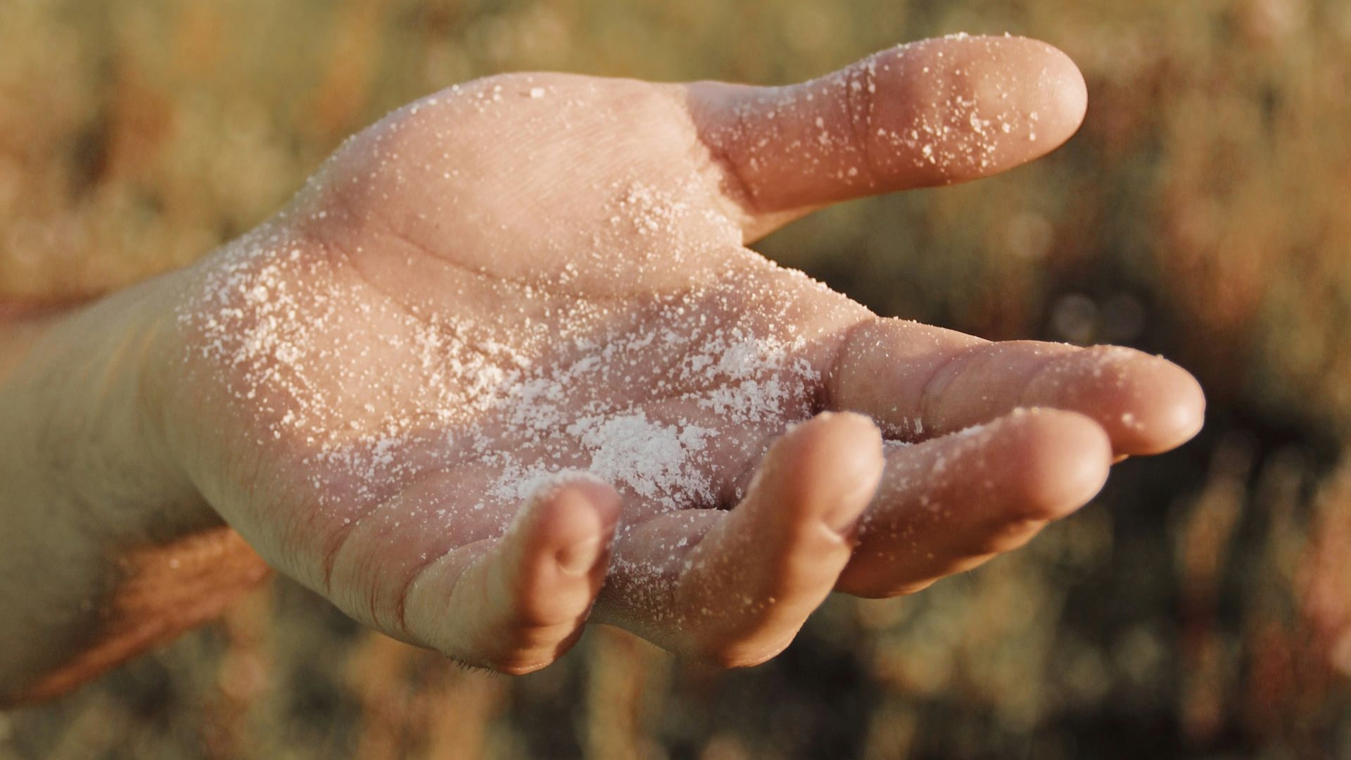 person holding white snow during daytime