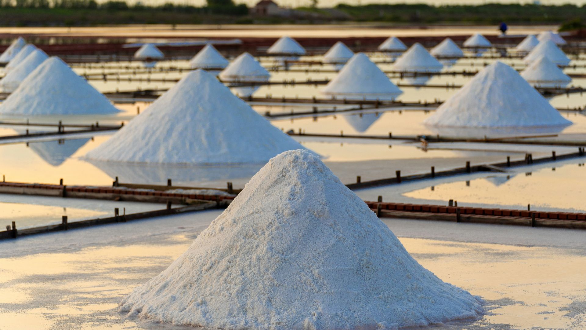 white sand on beach during daytime