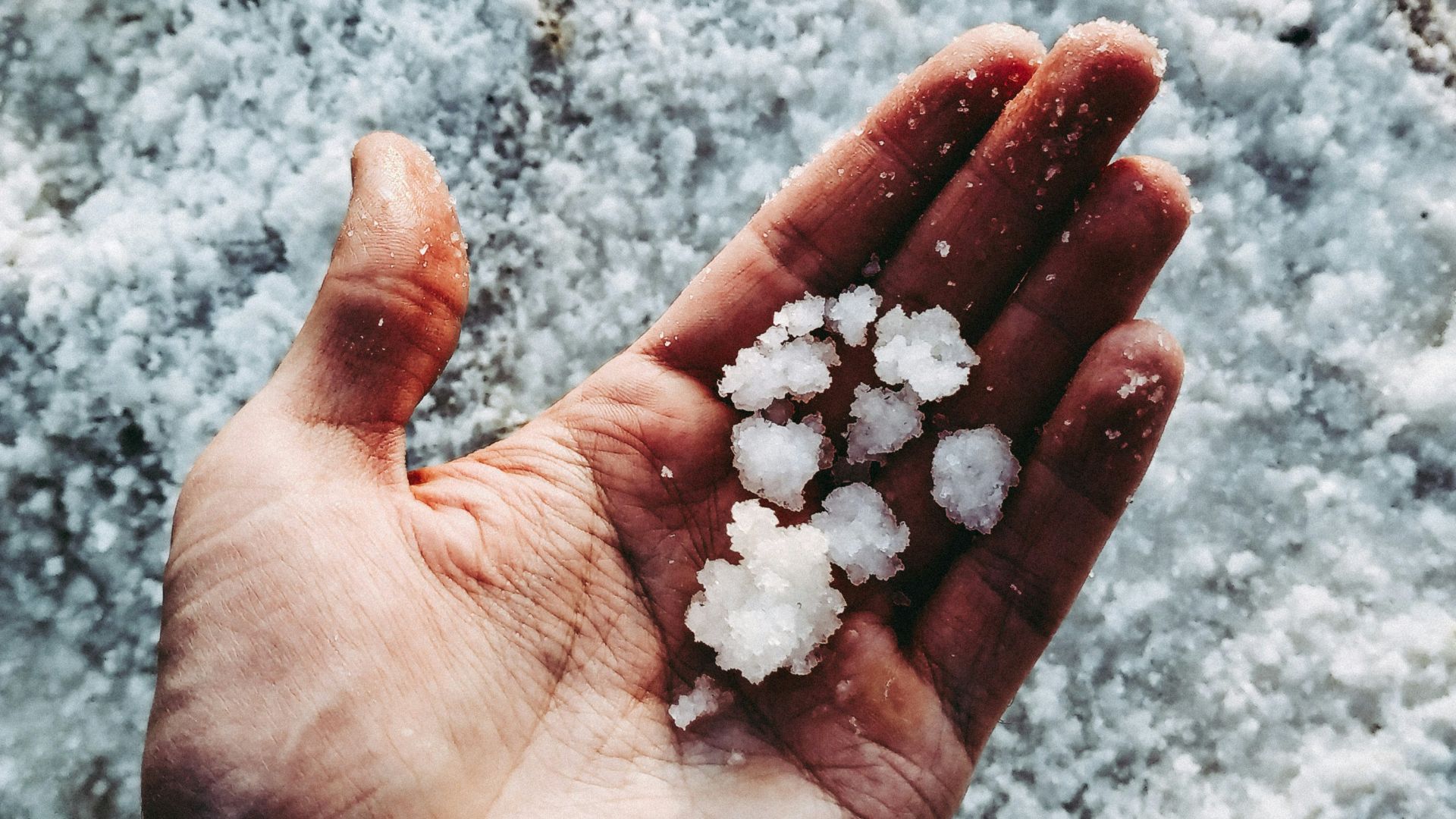 white stones on persons hand