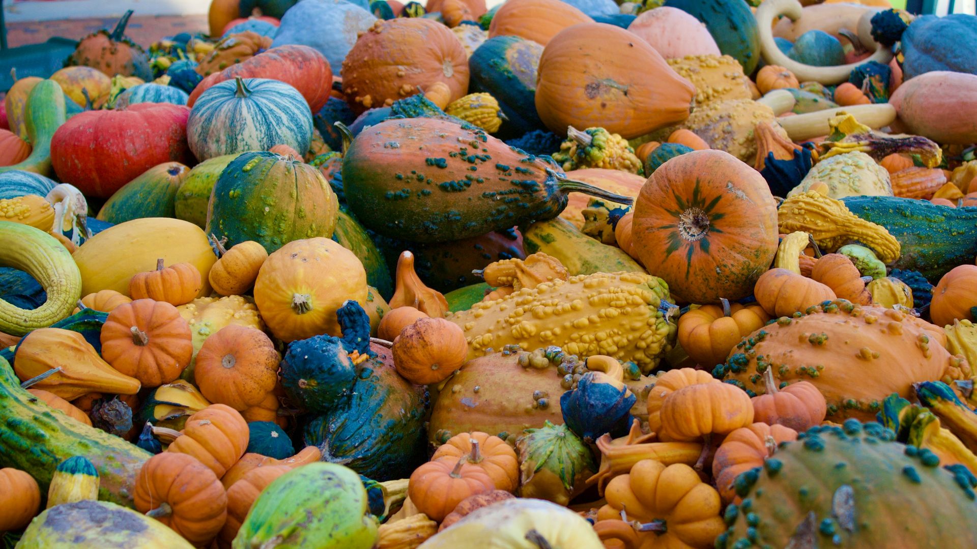 a pile of pumpkins and squash on display