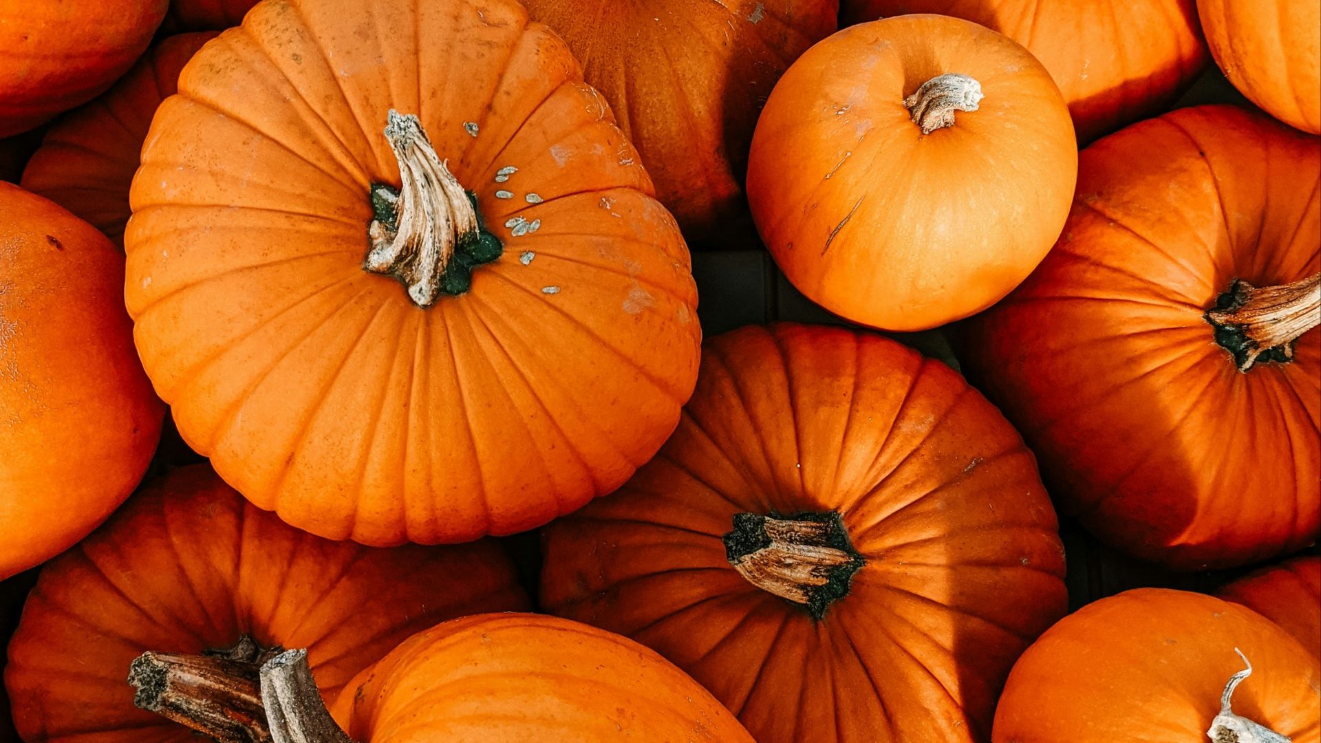 a pile of pumpkins sitting next to each other