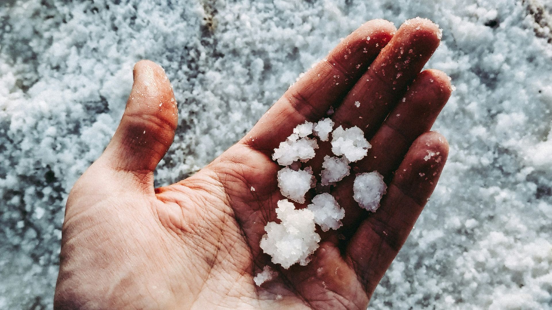 white stones on persons hand