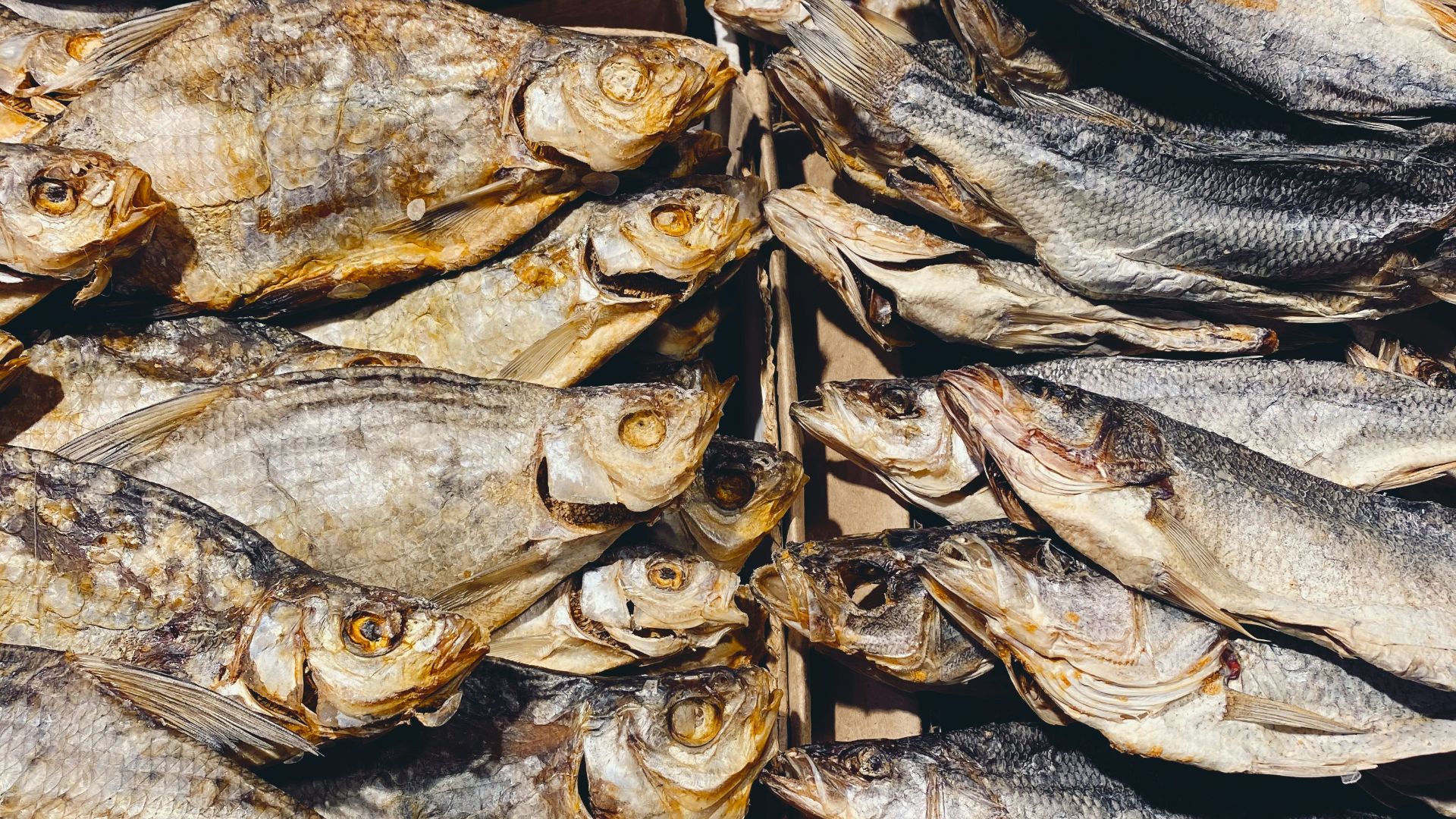 dried fish