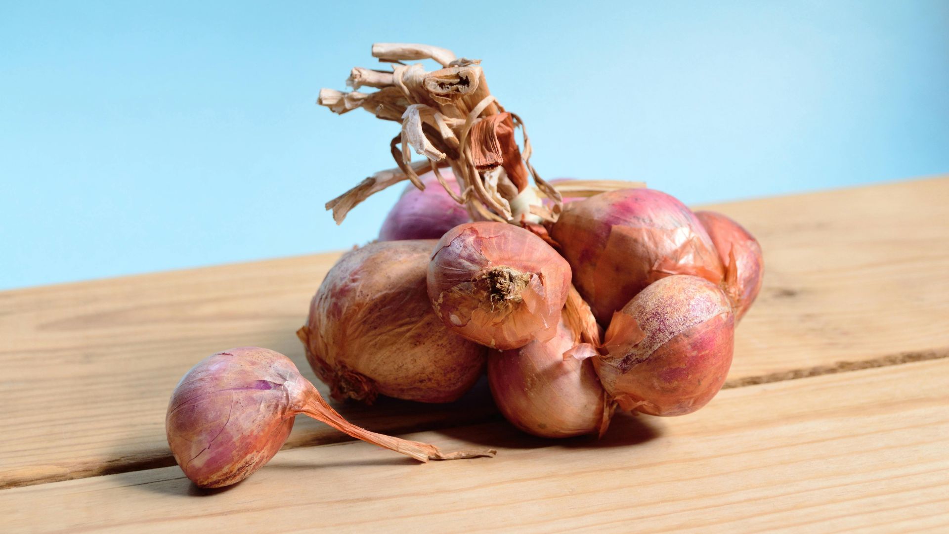 Miguel Á. Padriñán