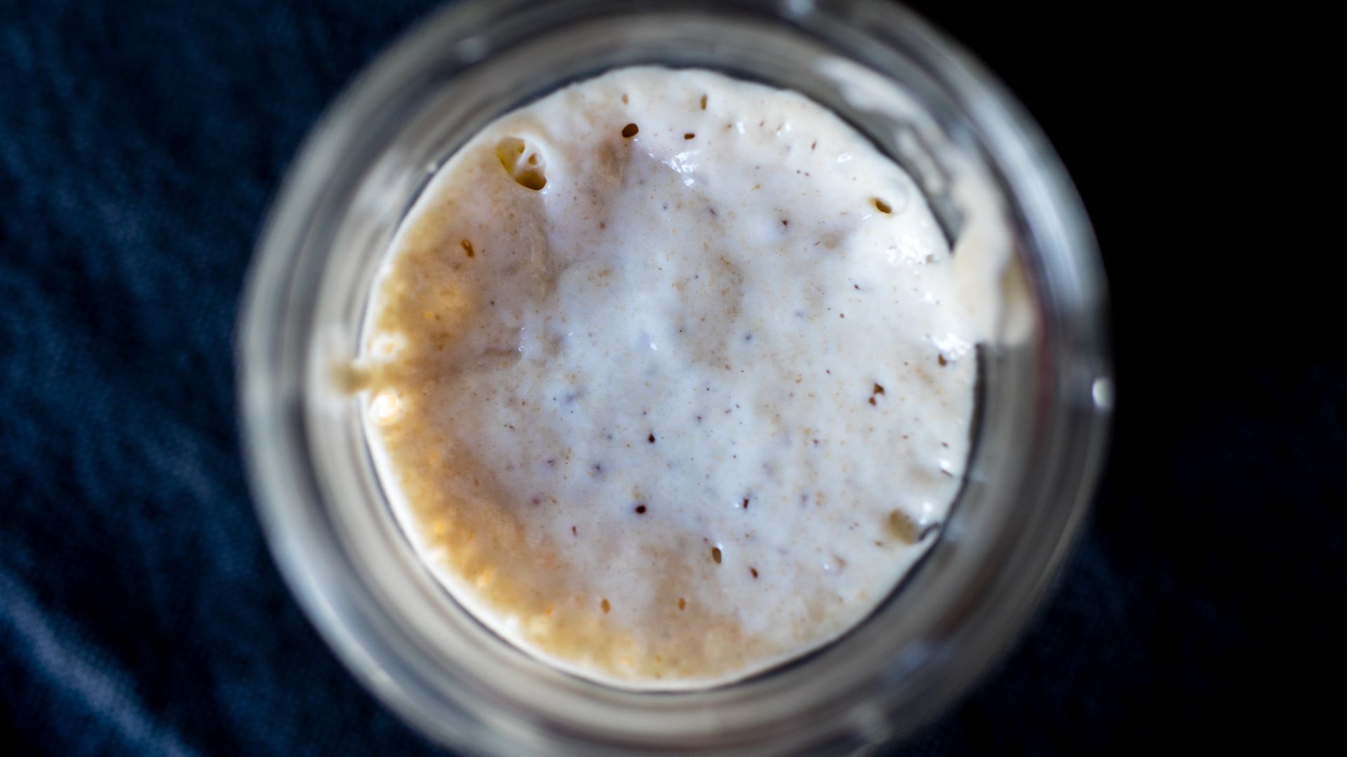 File:Active sourdough starter (49883187806).jpg