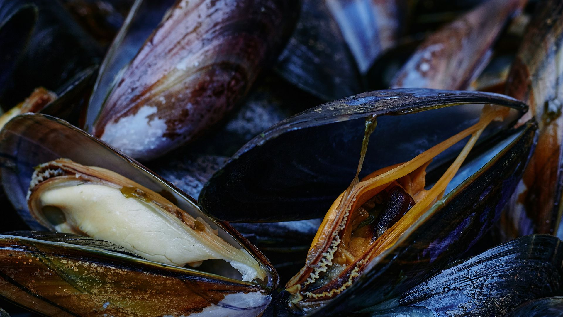 black and brown stones on black surface