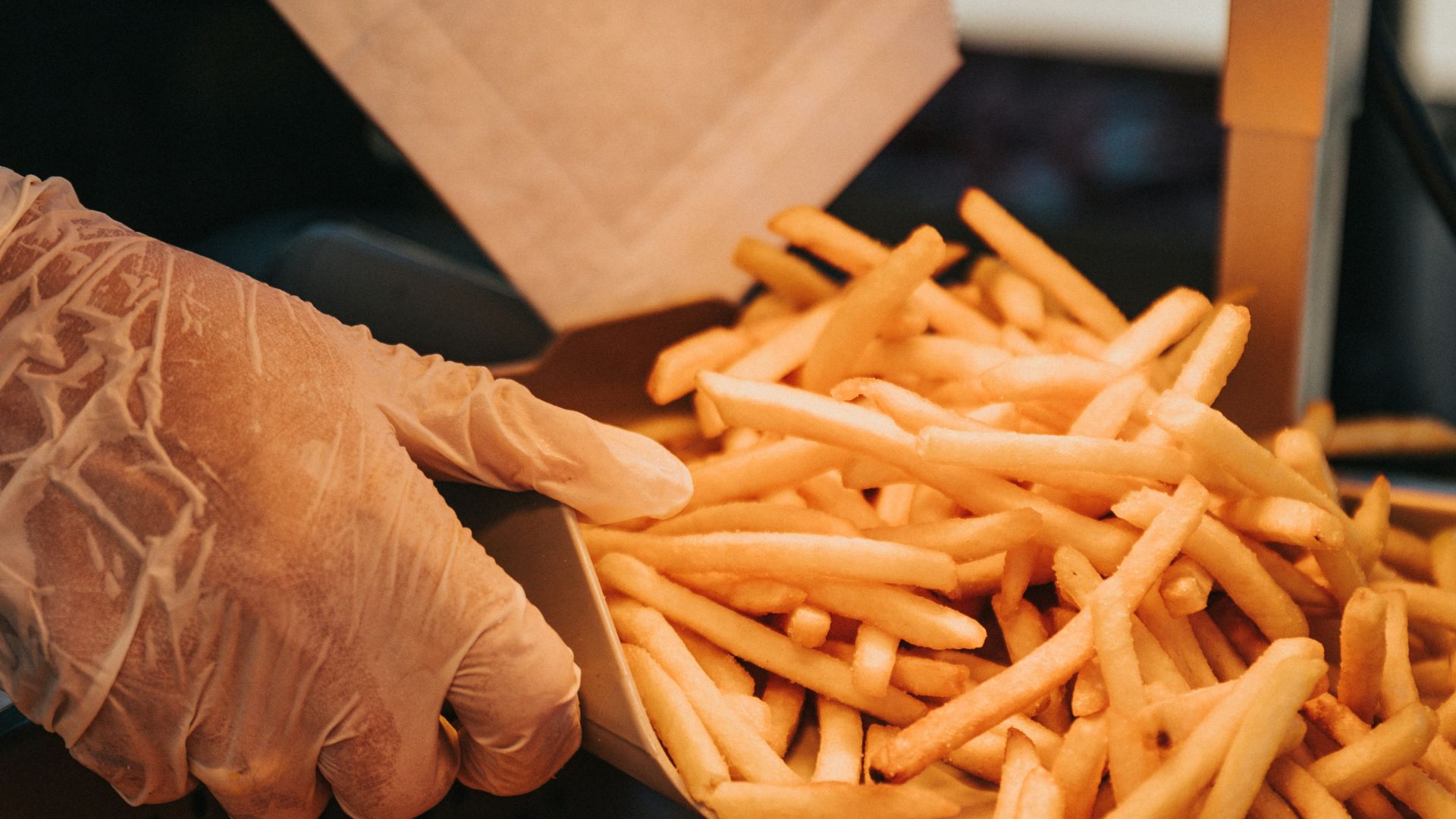 person holding brown wooden stick