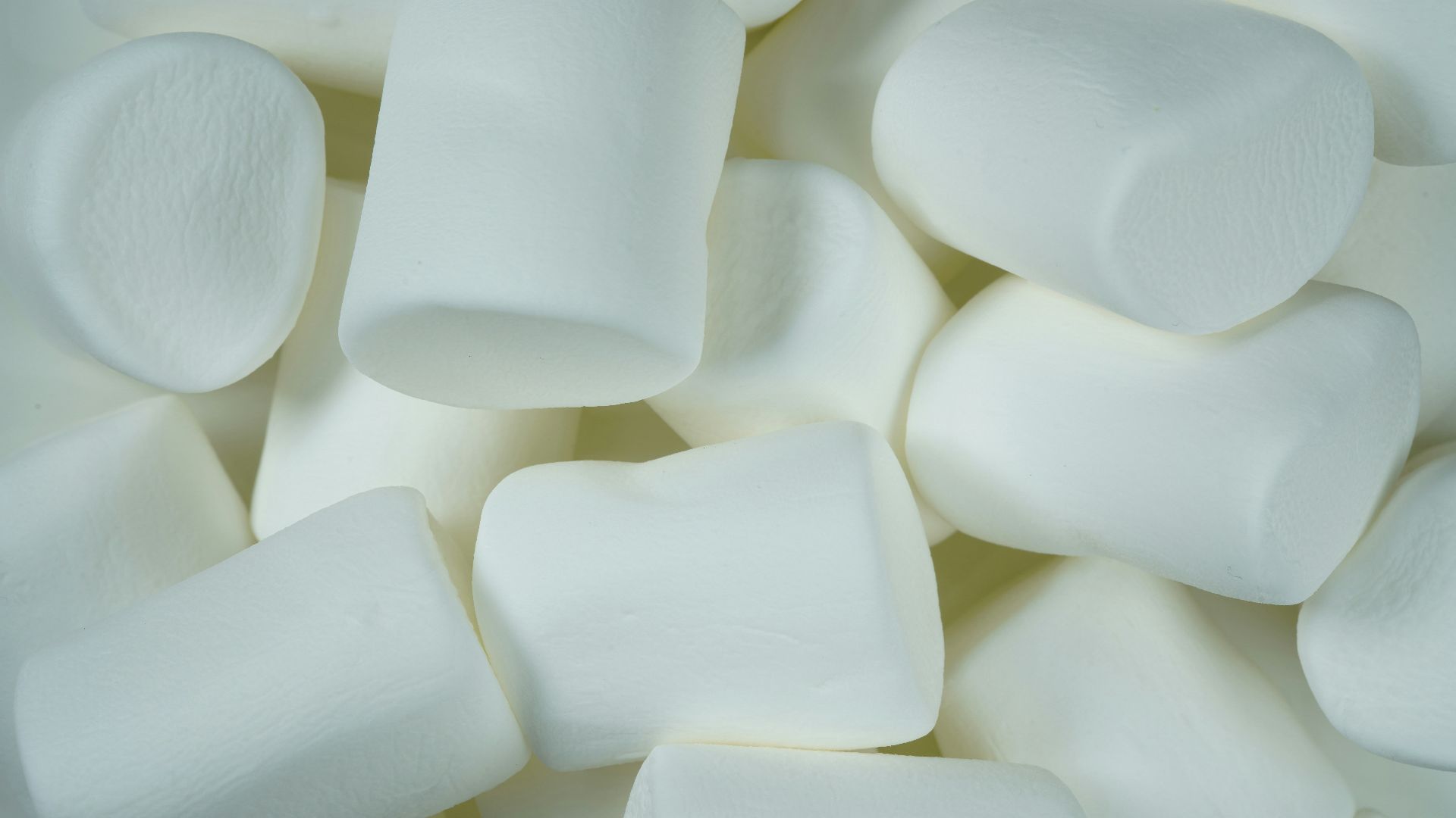 white plastic egg tray lot