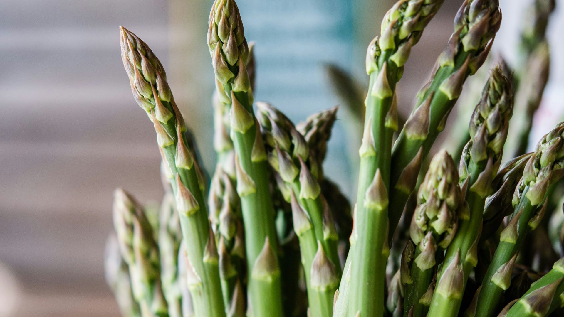 green plant on white ceramic bowl