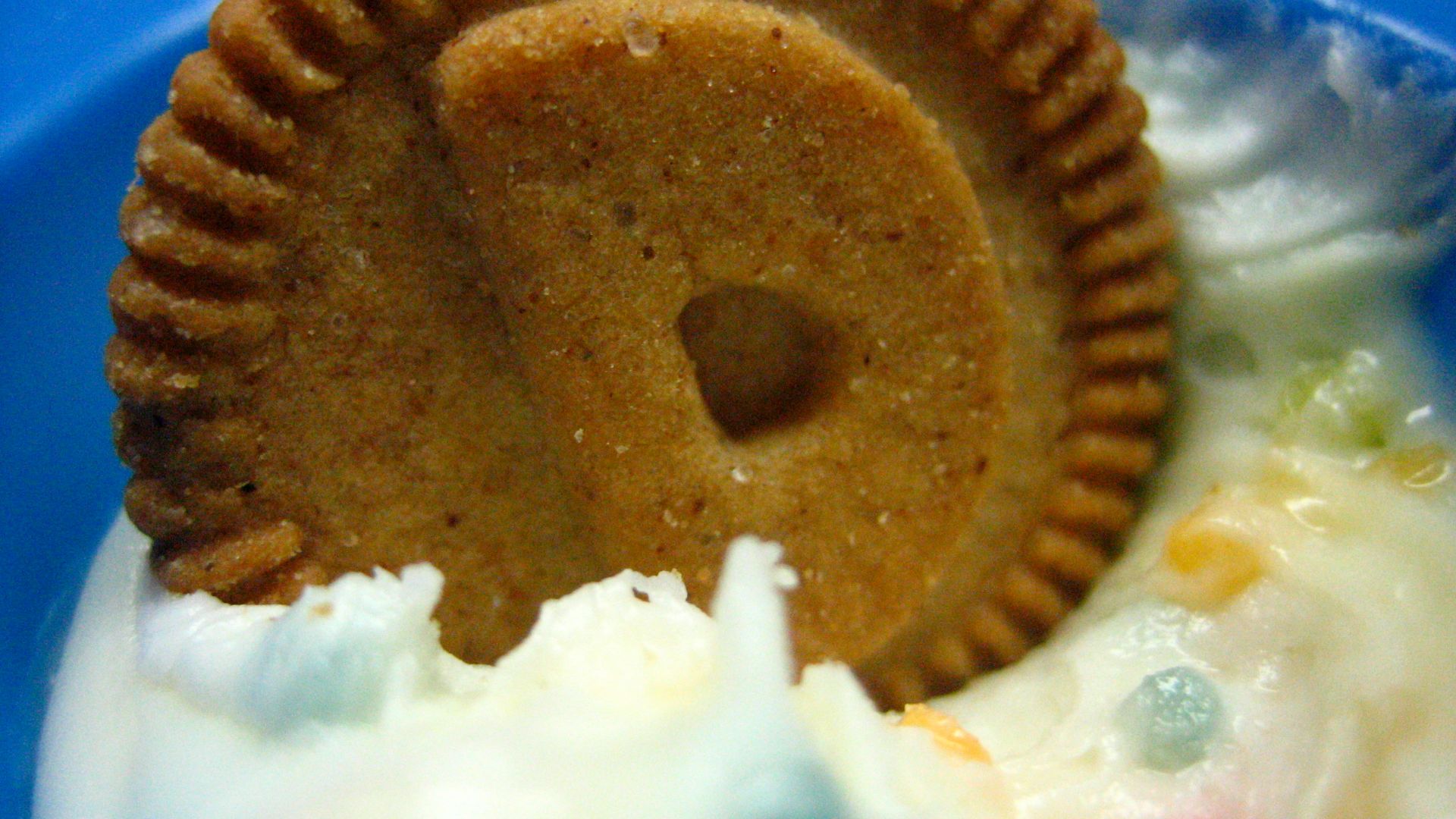 File:32. DUNKAROOS! (3626901761).jpg