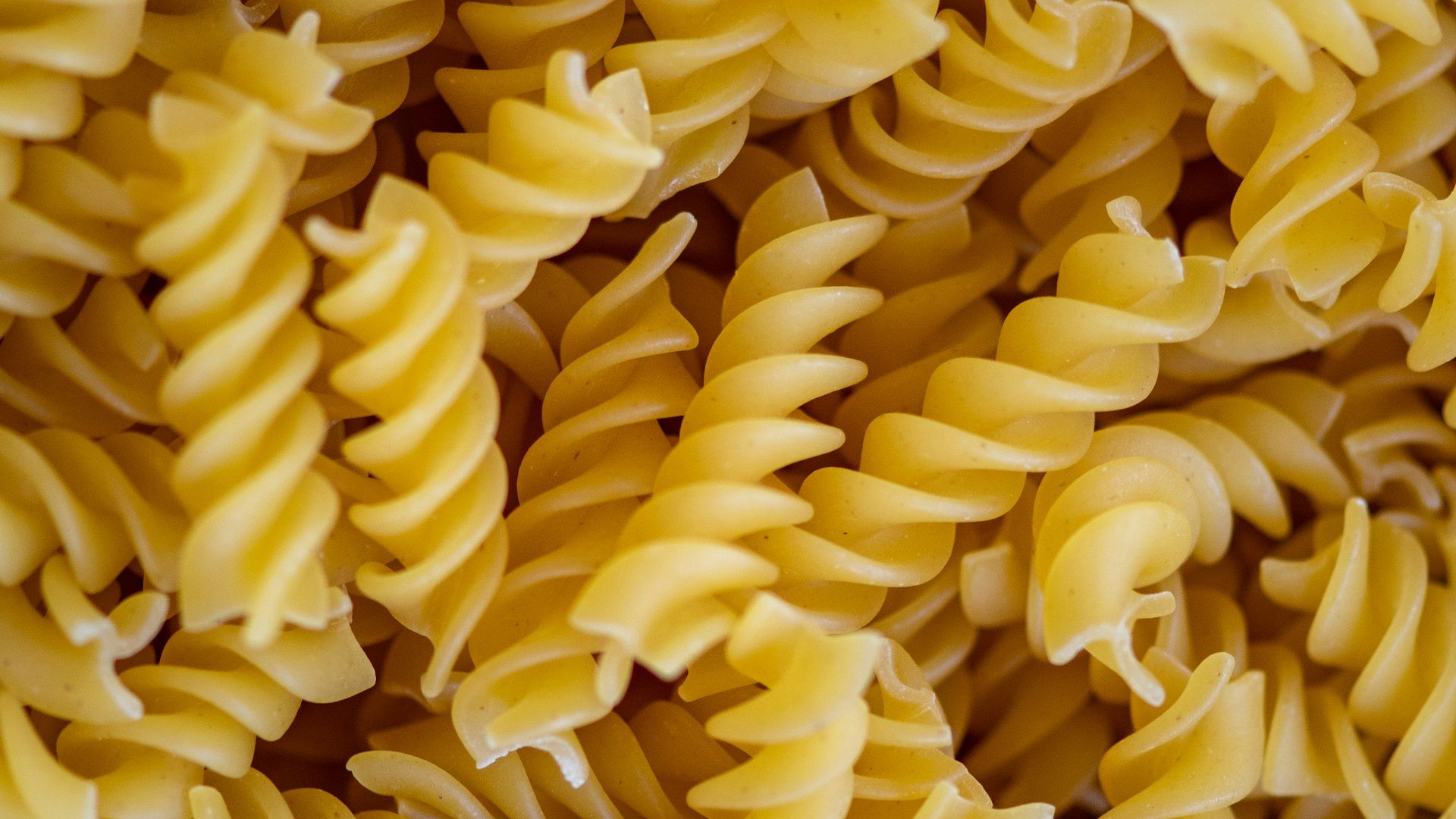 yellow flower petals in close up photography