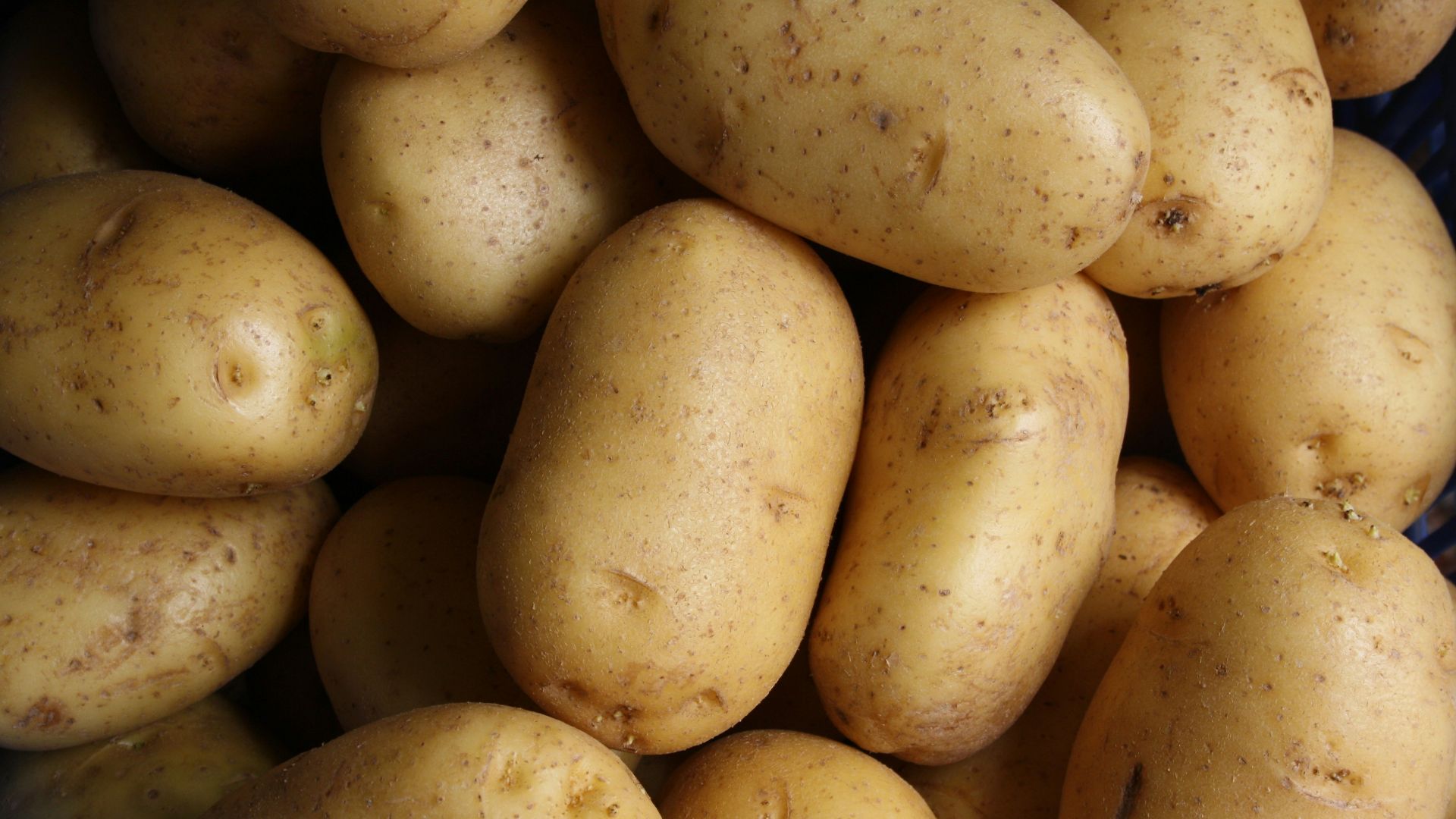 brown potato lot