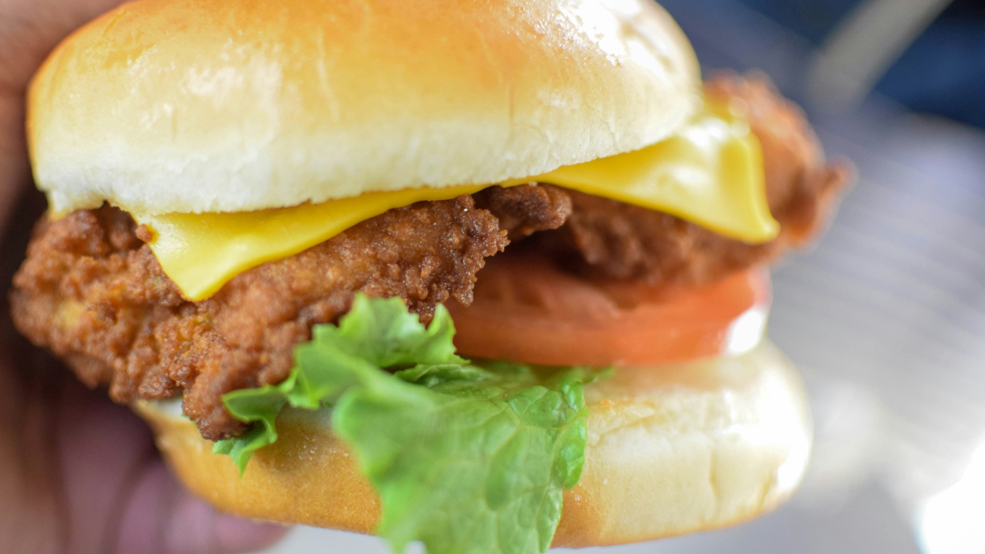 burger with lettuce and tomato