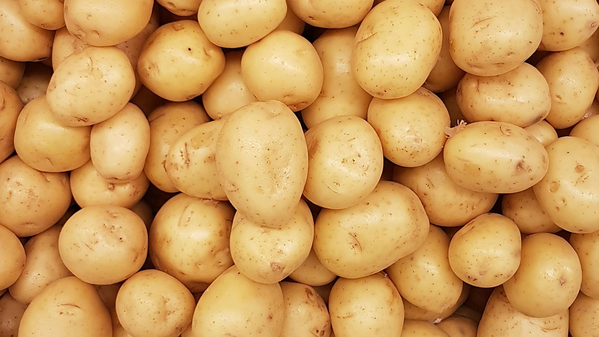 yellow round fruits on white surface