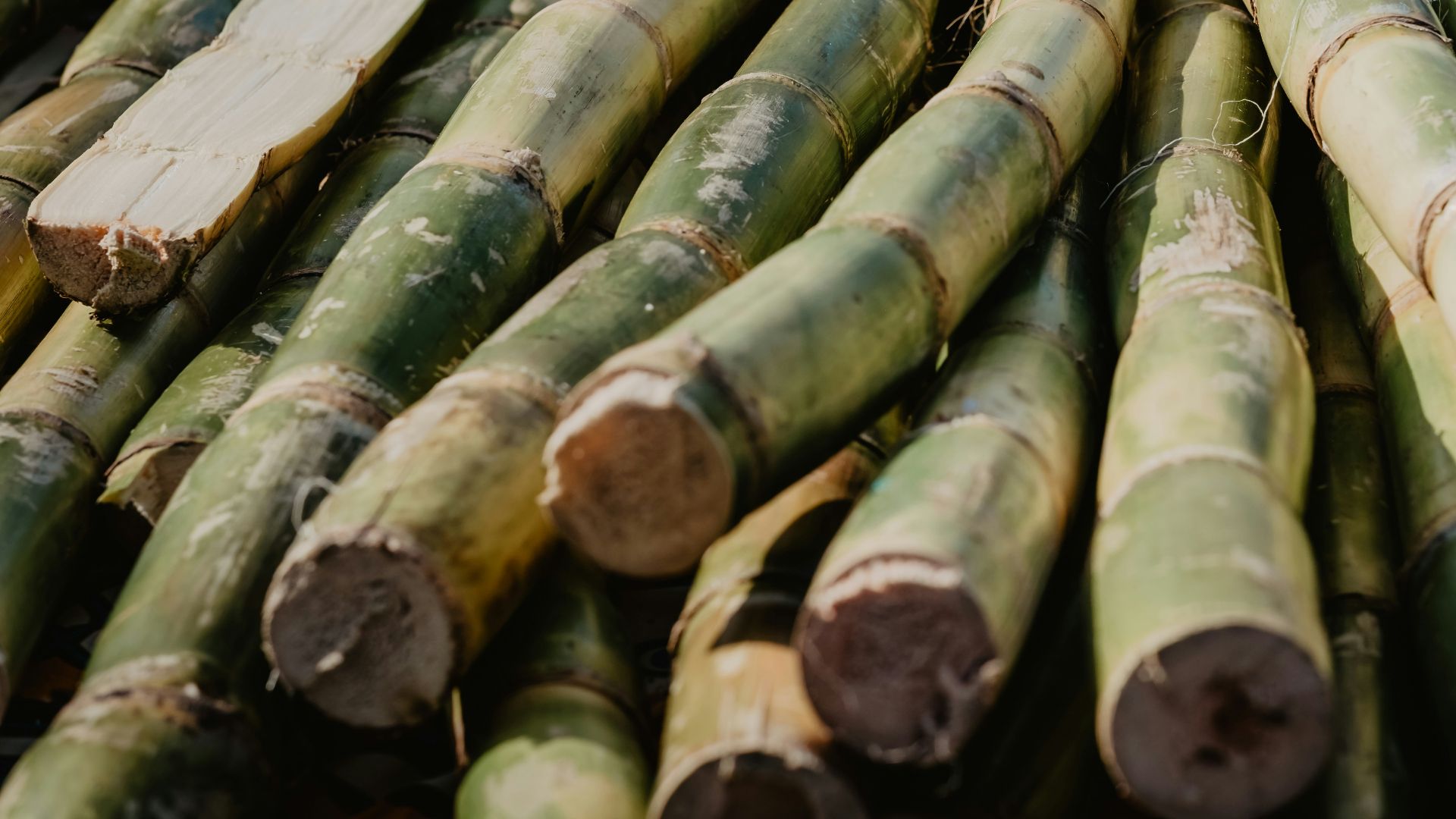 brown bamboo sticks on brown wooden table